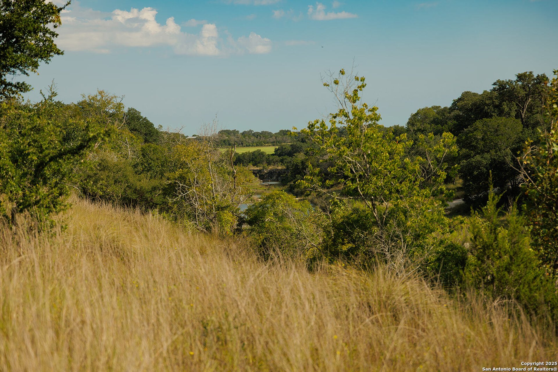 3067 Ranch Road 1888, BLANCO, TX, 78606
