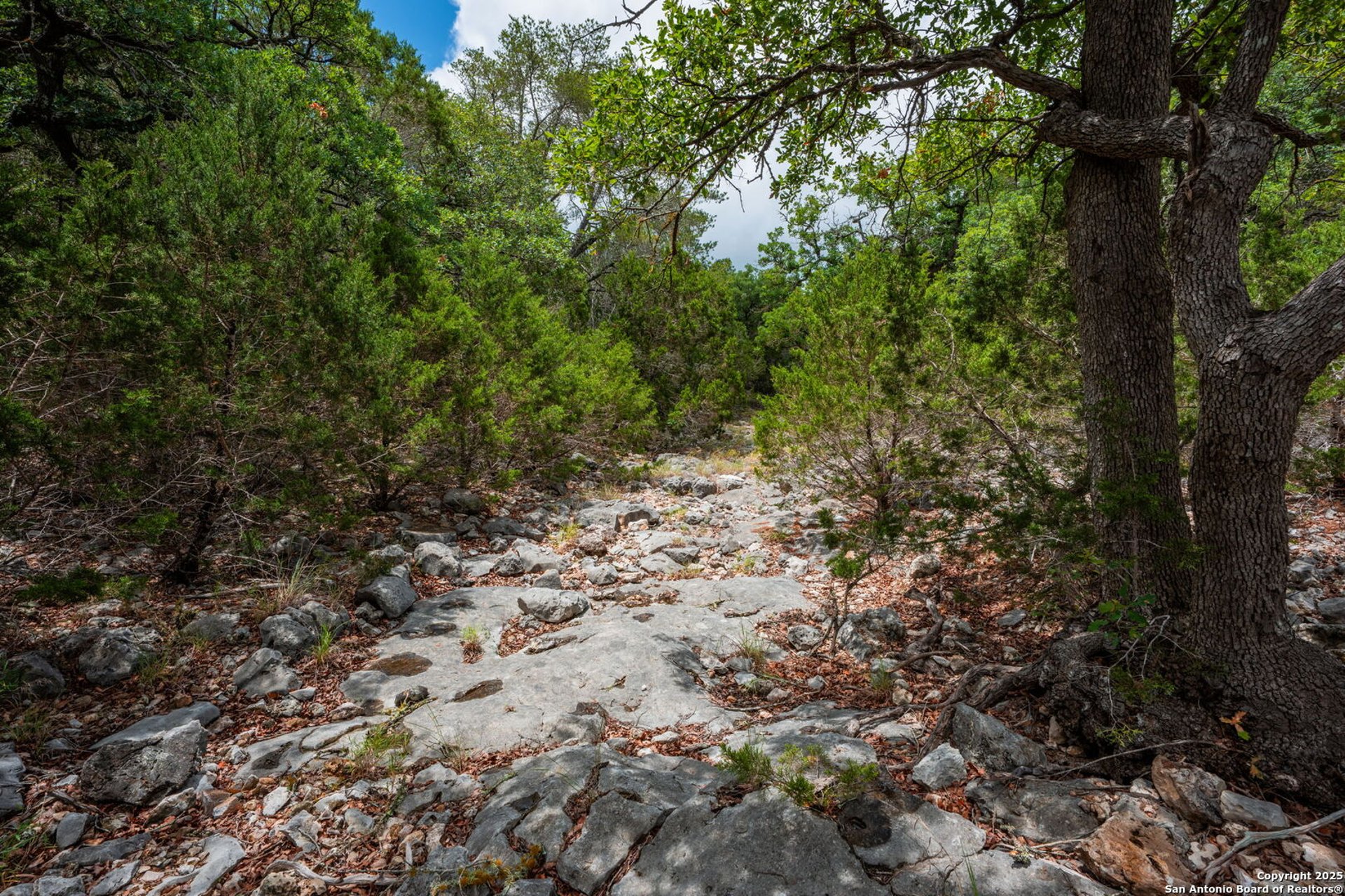485 Mitchell Ranch, CAMP_WOOD, TX, 78833