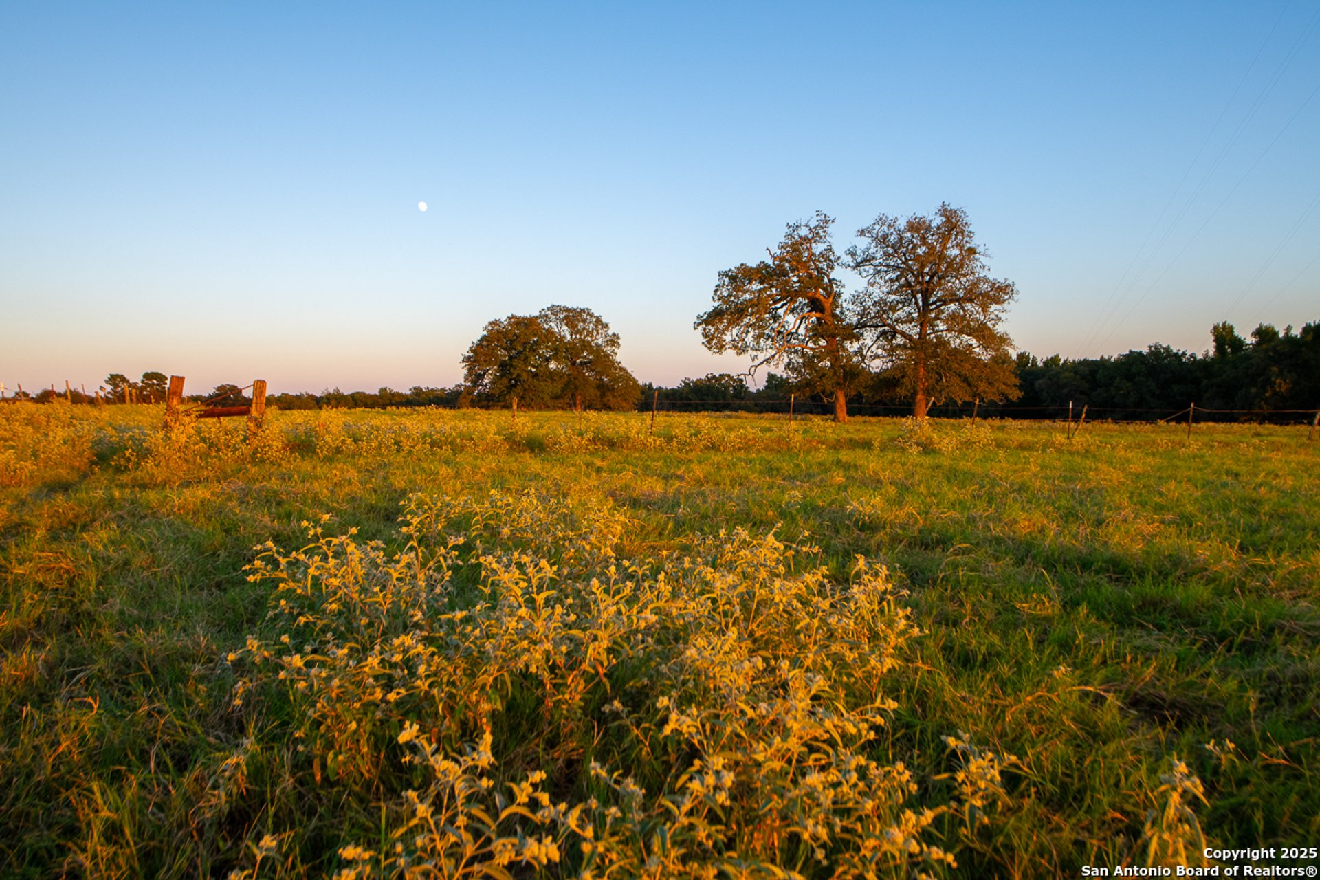 14926 county road 438, LINDALE, TX, 75771