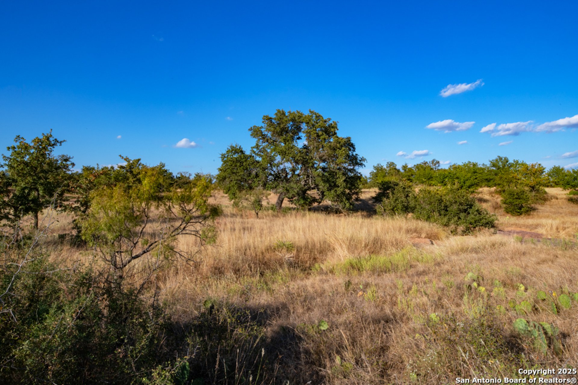 12805 Blackjack Rd, MASON, TX, 76842