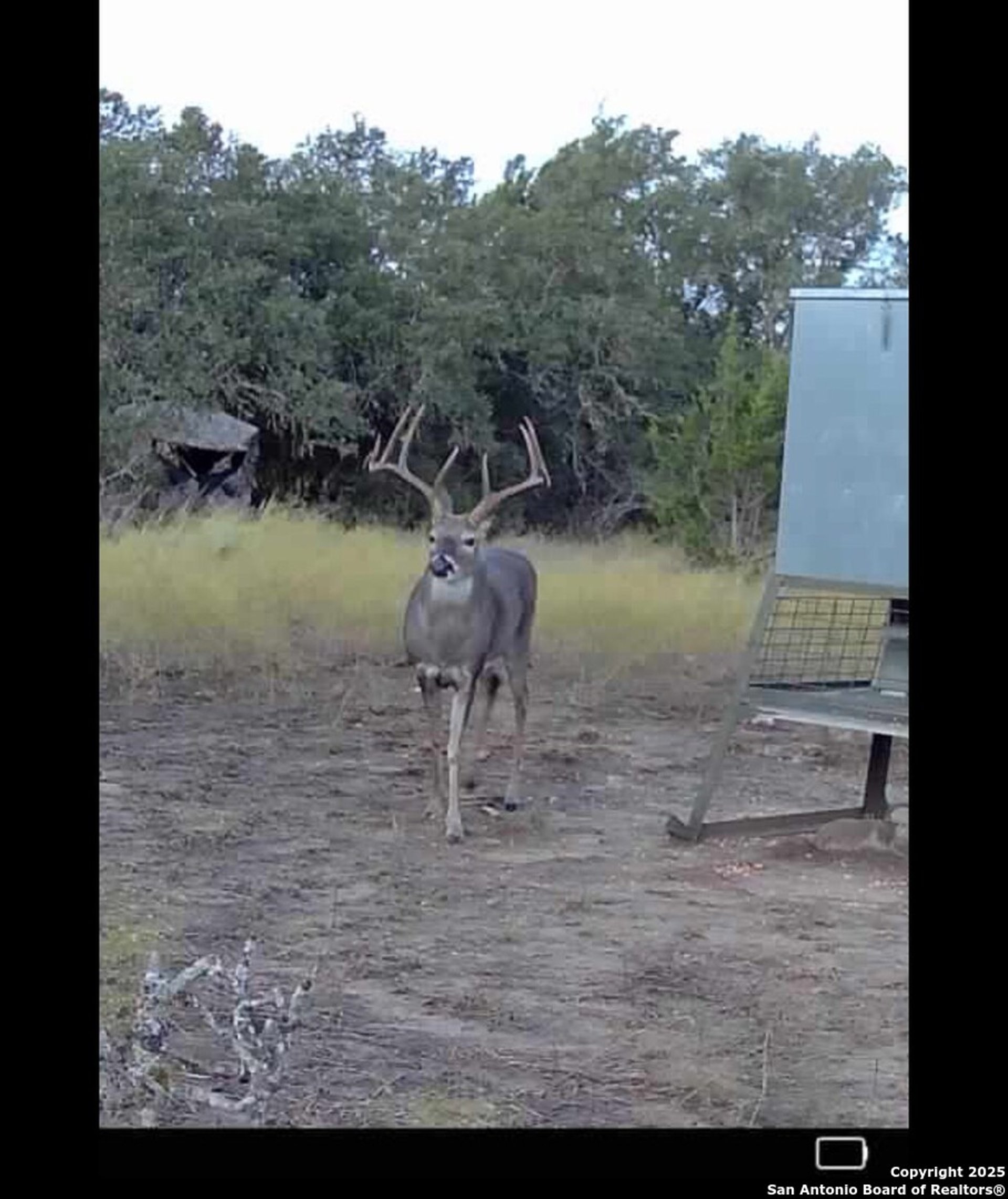 838 FM 573 S, GOLDTHWAIT, TX, 76864