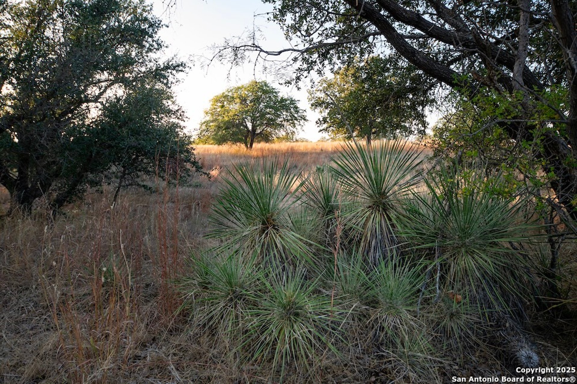 000 Black Jack Road, FREDONIA, TX, 76842