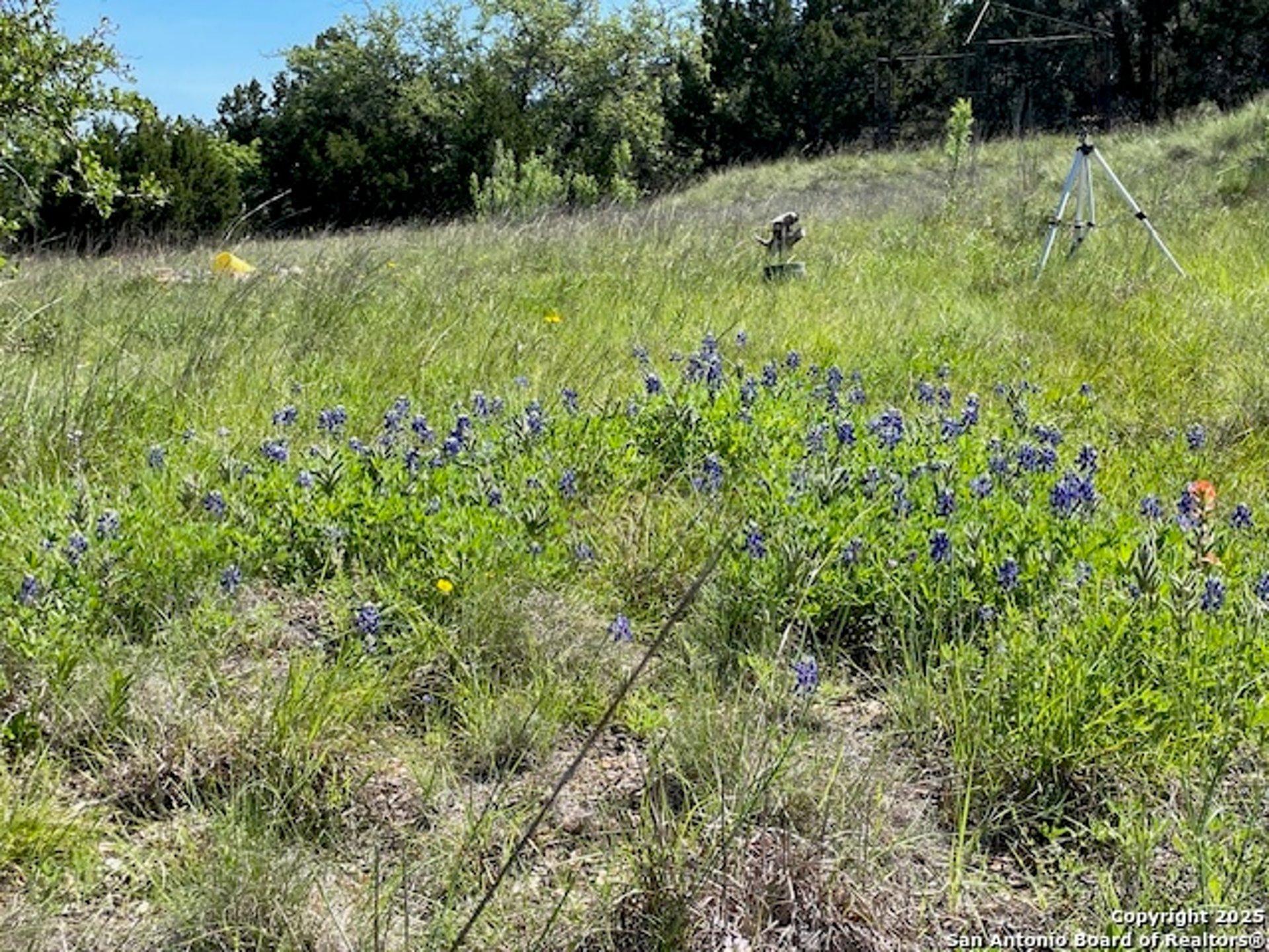 3788 Byrd Ranch Rd, JOHNSONCIT, TX, 78636
