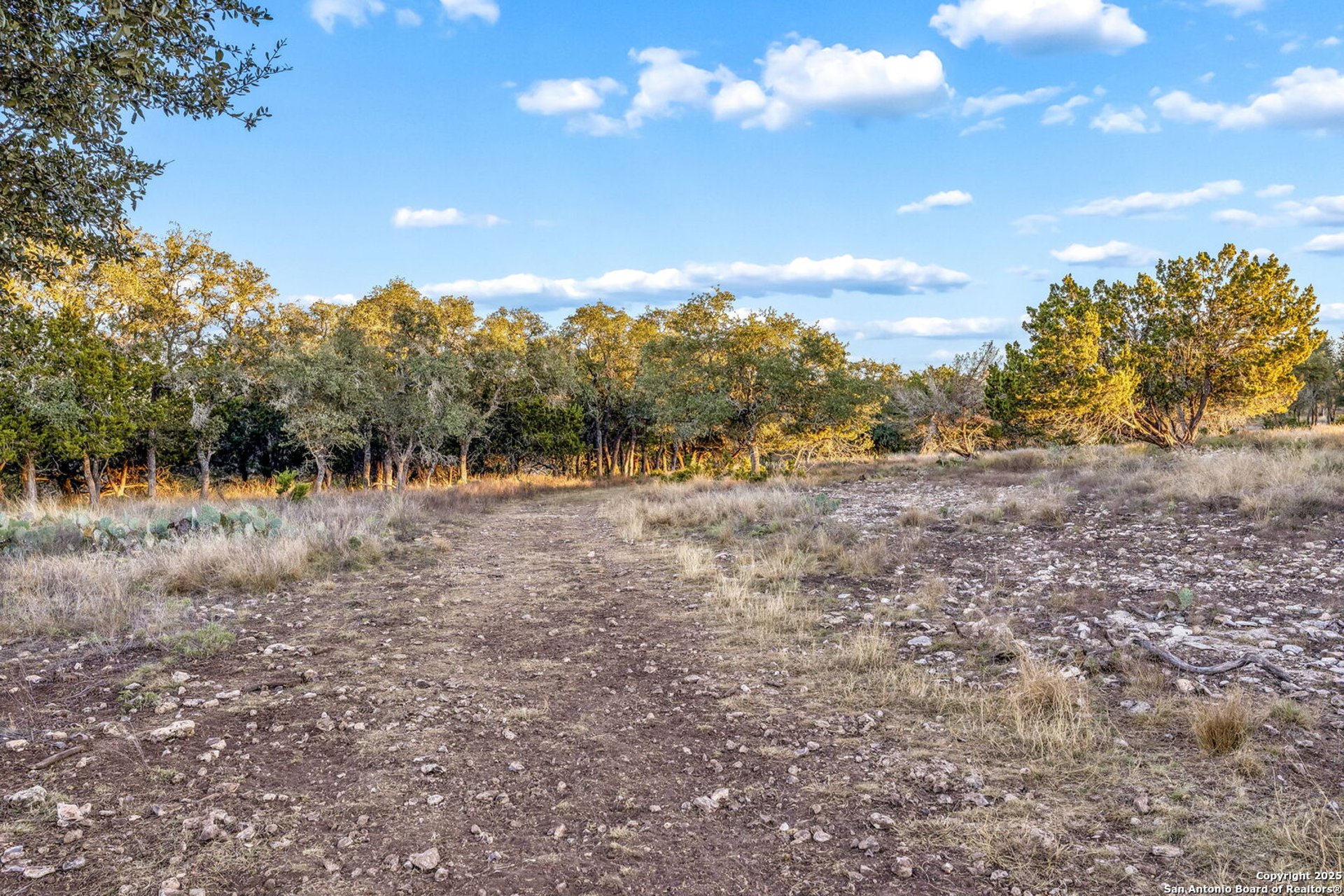 1106 Perry Ranch, FREDERICKS, TX, 78624