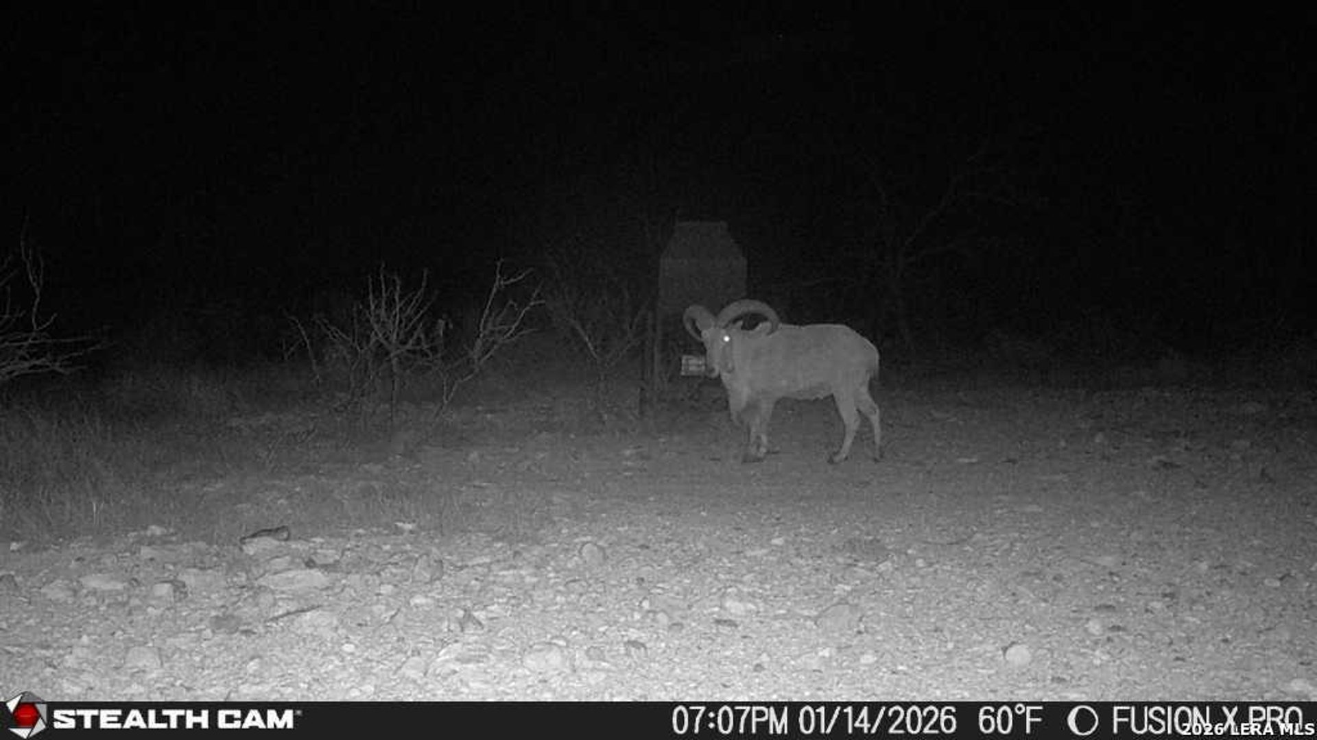 00 CR 107, OZONA, TX, 76943