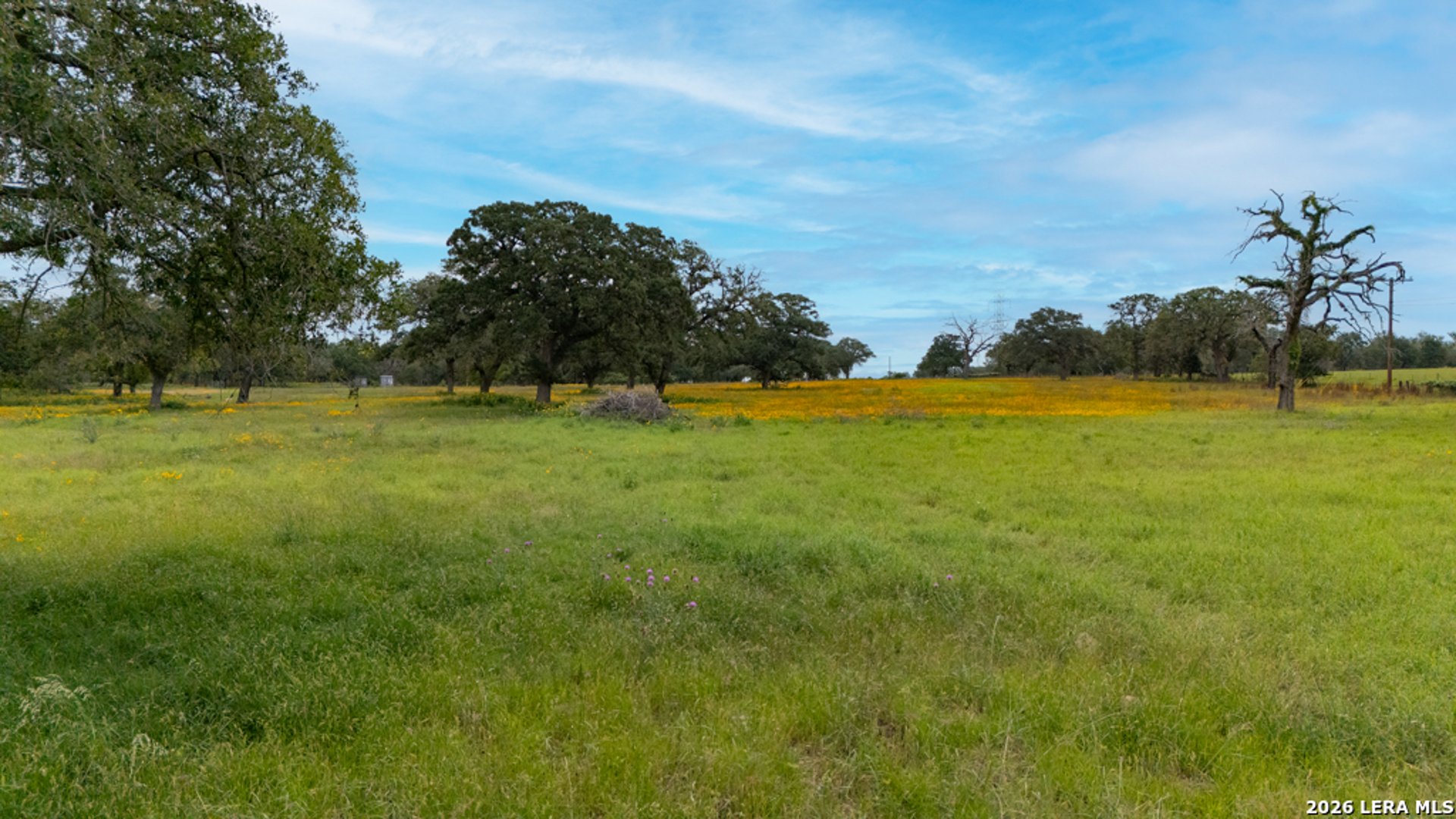 104 Longhorn, STOCKDALE, TX, 78160