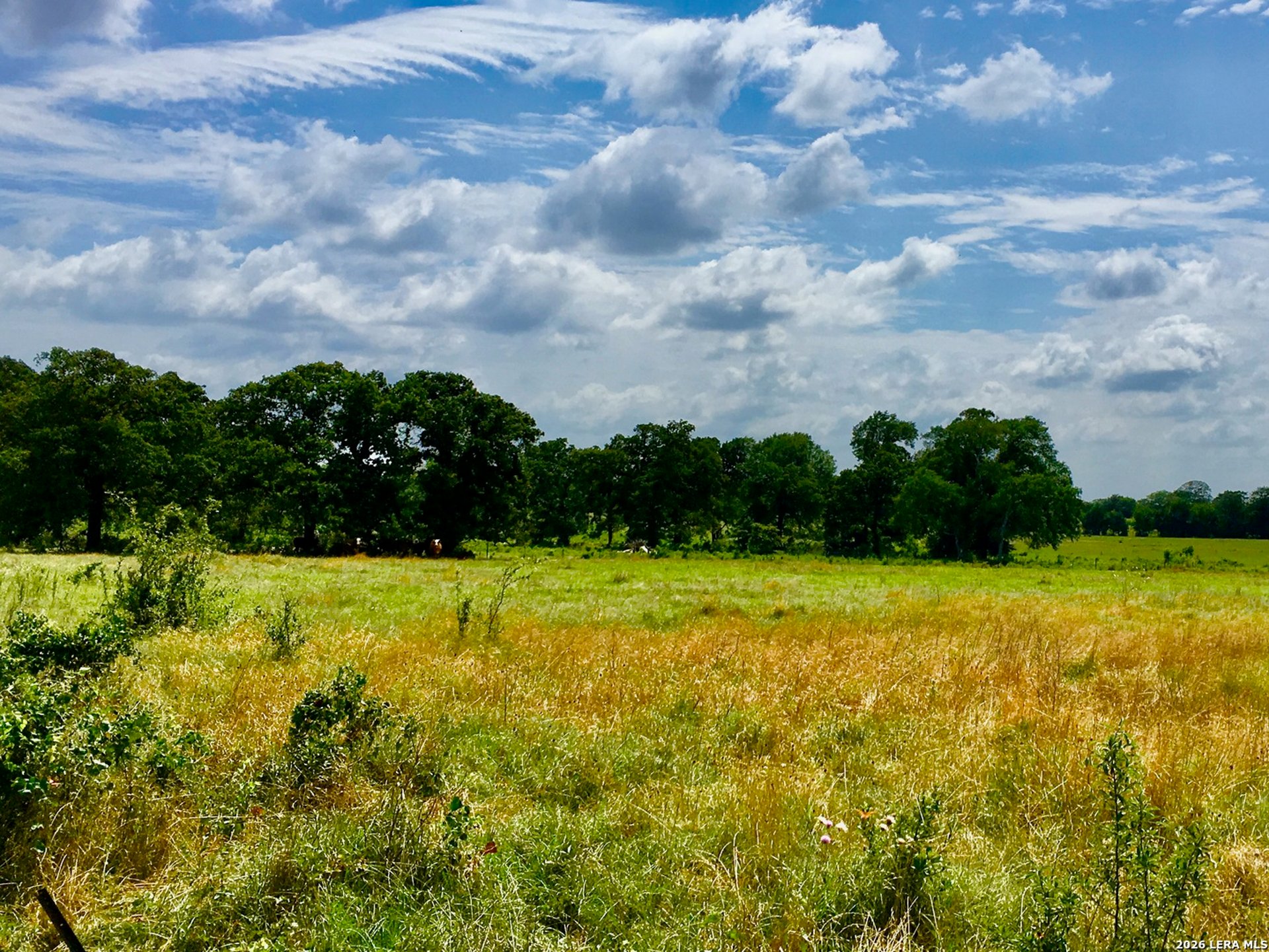 1152 A County Road 227, FALLS_CITY, TX, 78113