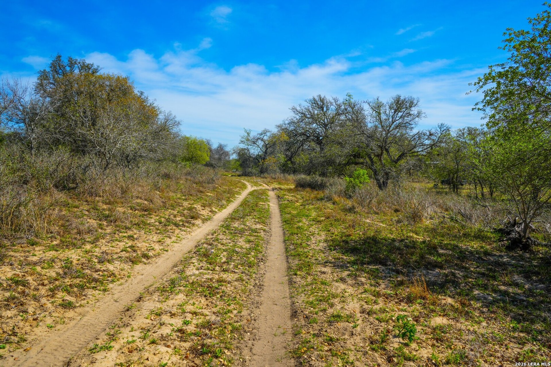 9521 Fm 1303, FLORESVILL, TX, 78114