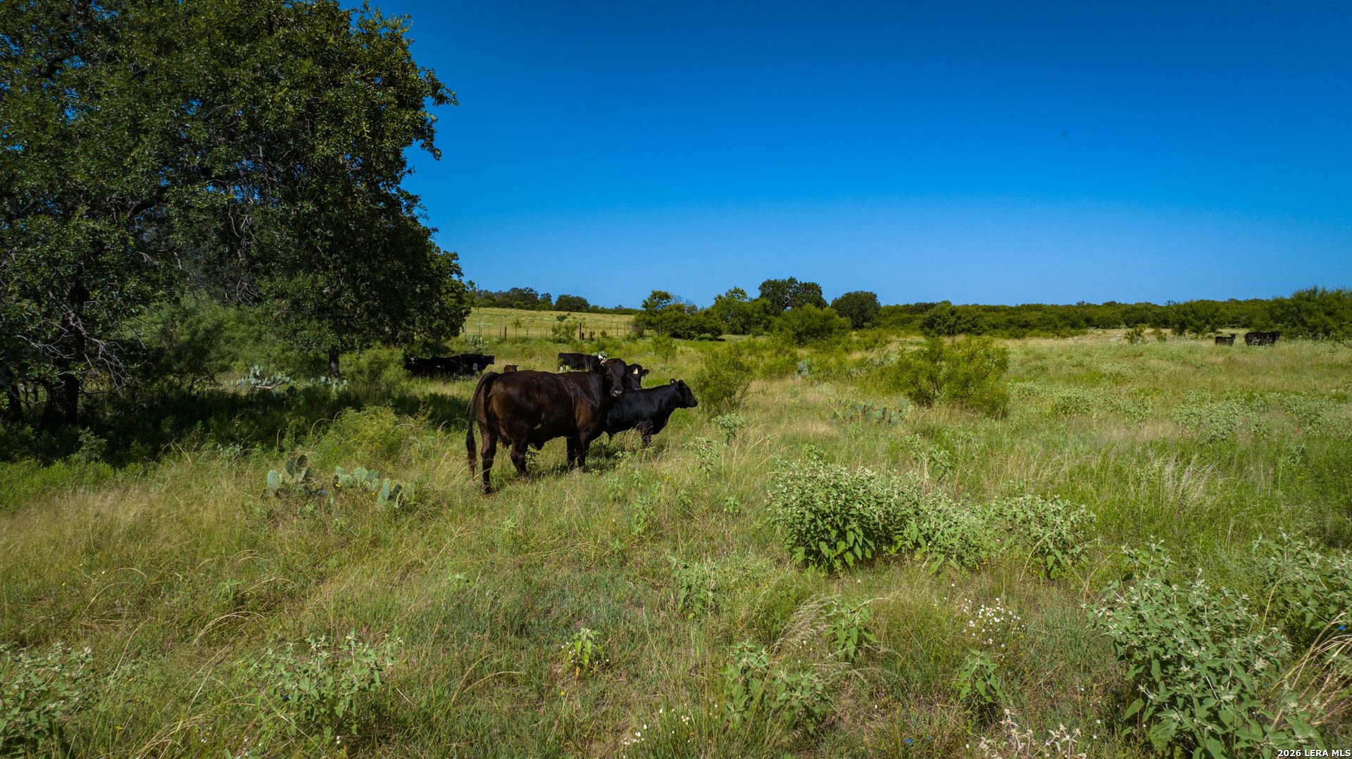 9978 hay spring, FREDONIA, TX, 76842