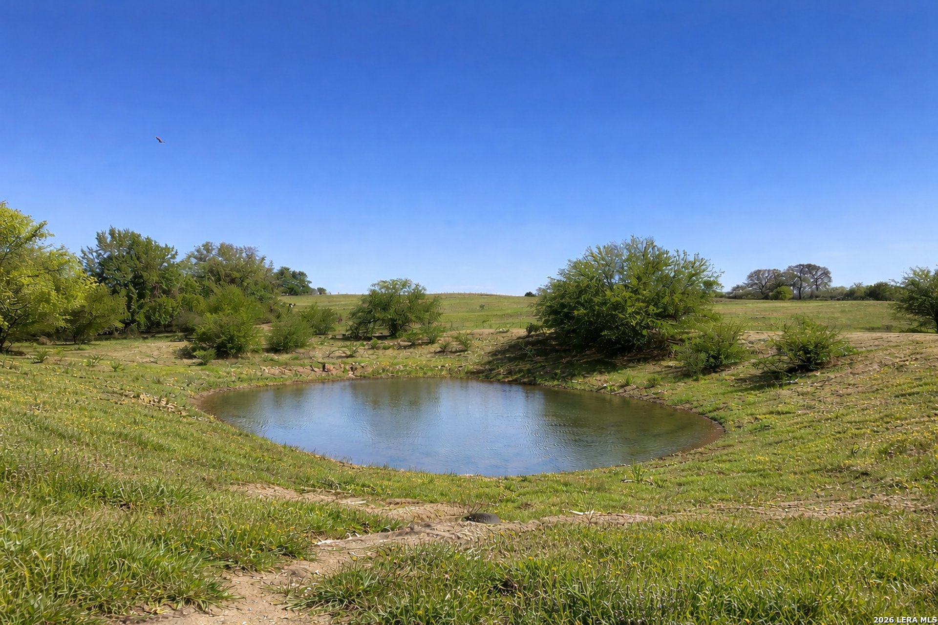 2141 County Road 132, FLORESVILL, TX, 78114