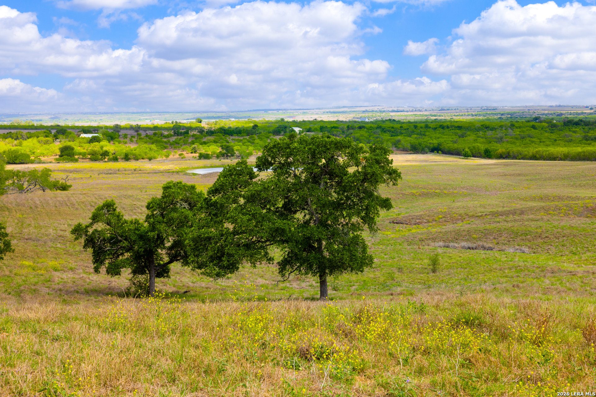 12017 FM 20, KINGSBURY, TX, 78638