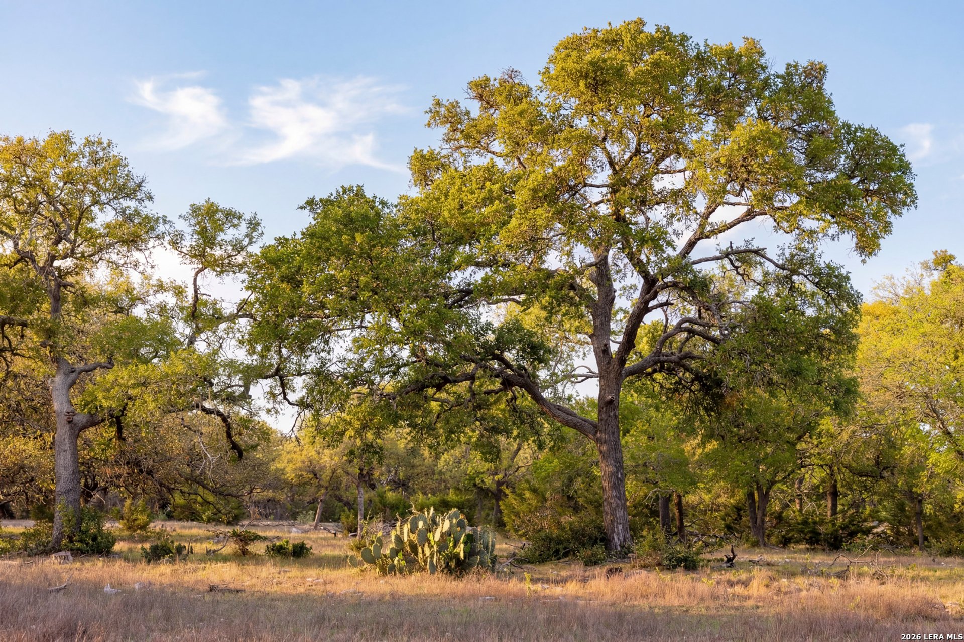 TBD Sattler Rd, SPRINGBRAN, TX, 78070