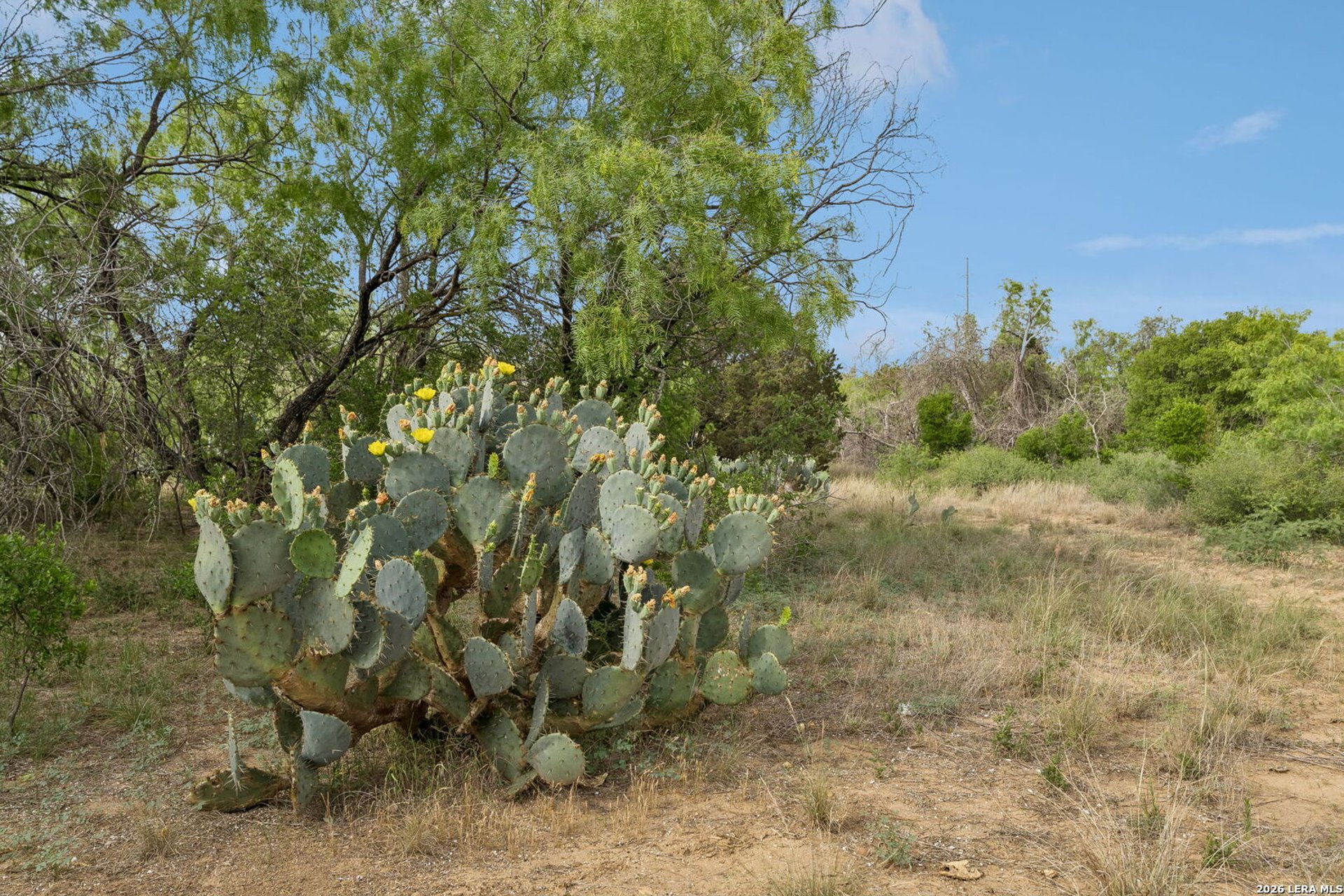 TBD Ih 37, SANANTONIO, TX, 78223