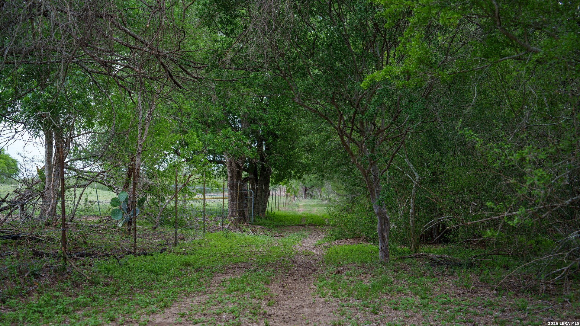1251 County Road 210, FLORESVILL, TX, 78114