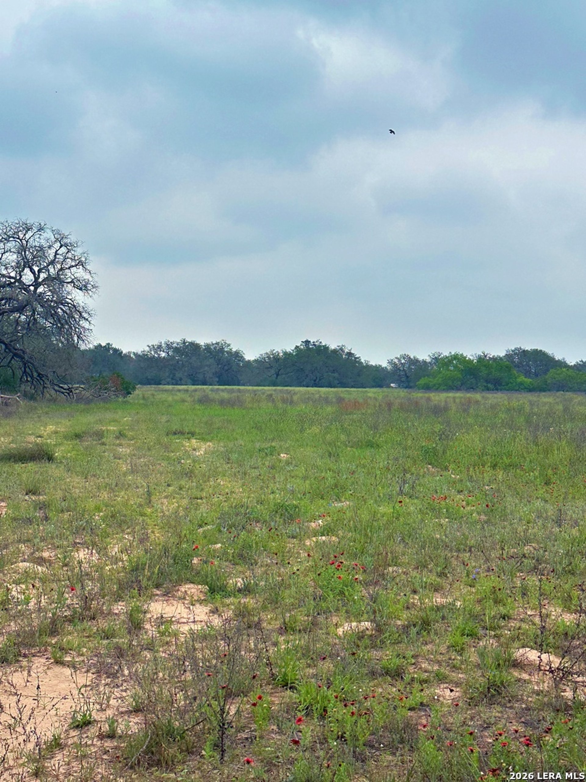 586 Jenschke, POTEET, TX, 78065