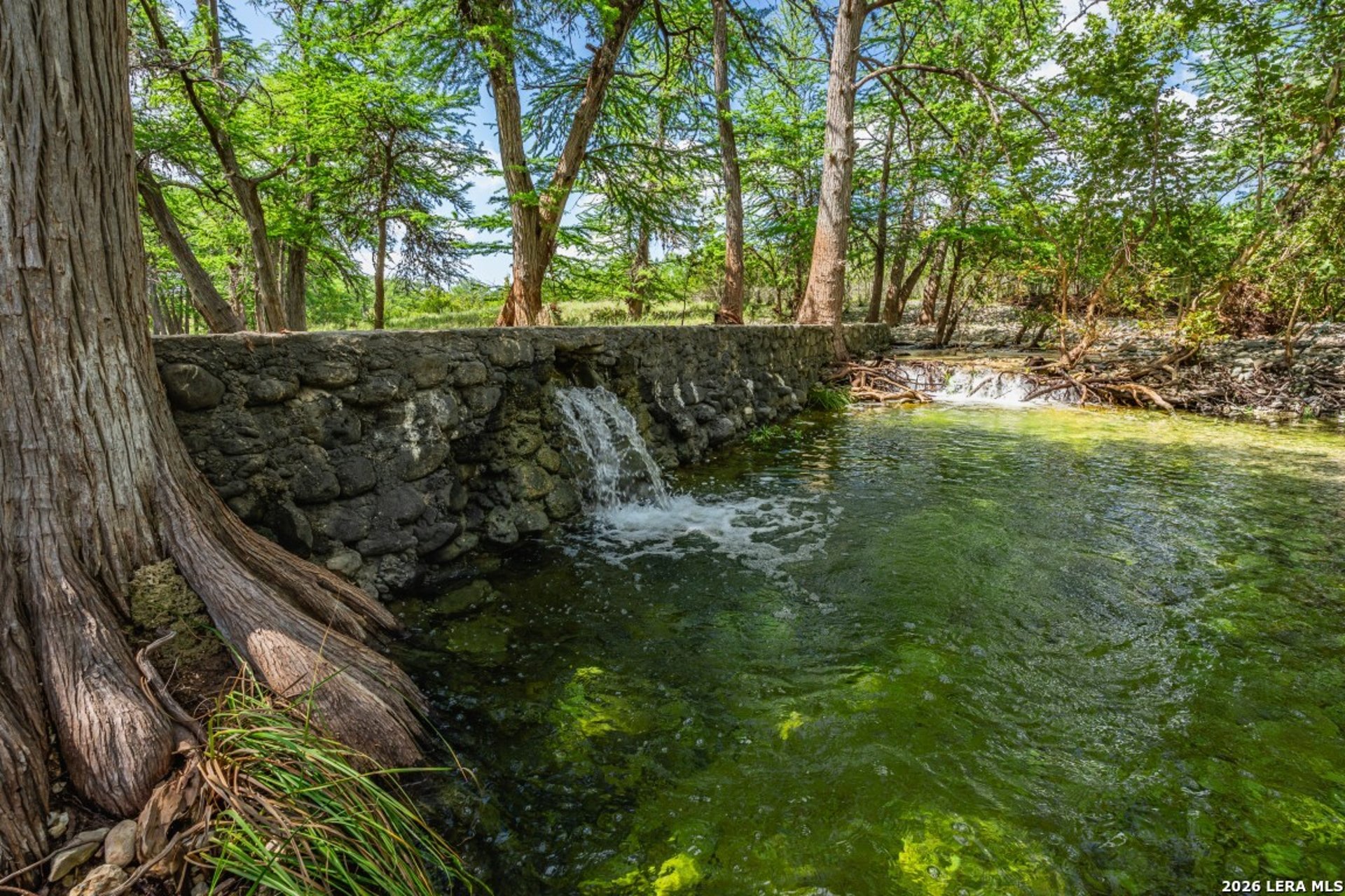 1040 Panther Hill Road, VANDERPOOL, TX, 78885