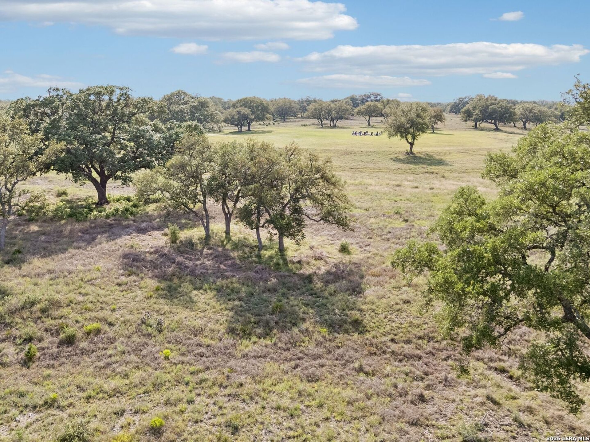 185 ACRES FM 3351 N, BOERNE, TX, 78006