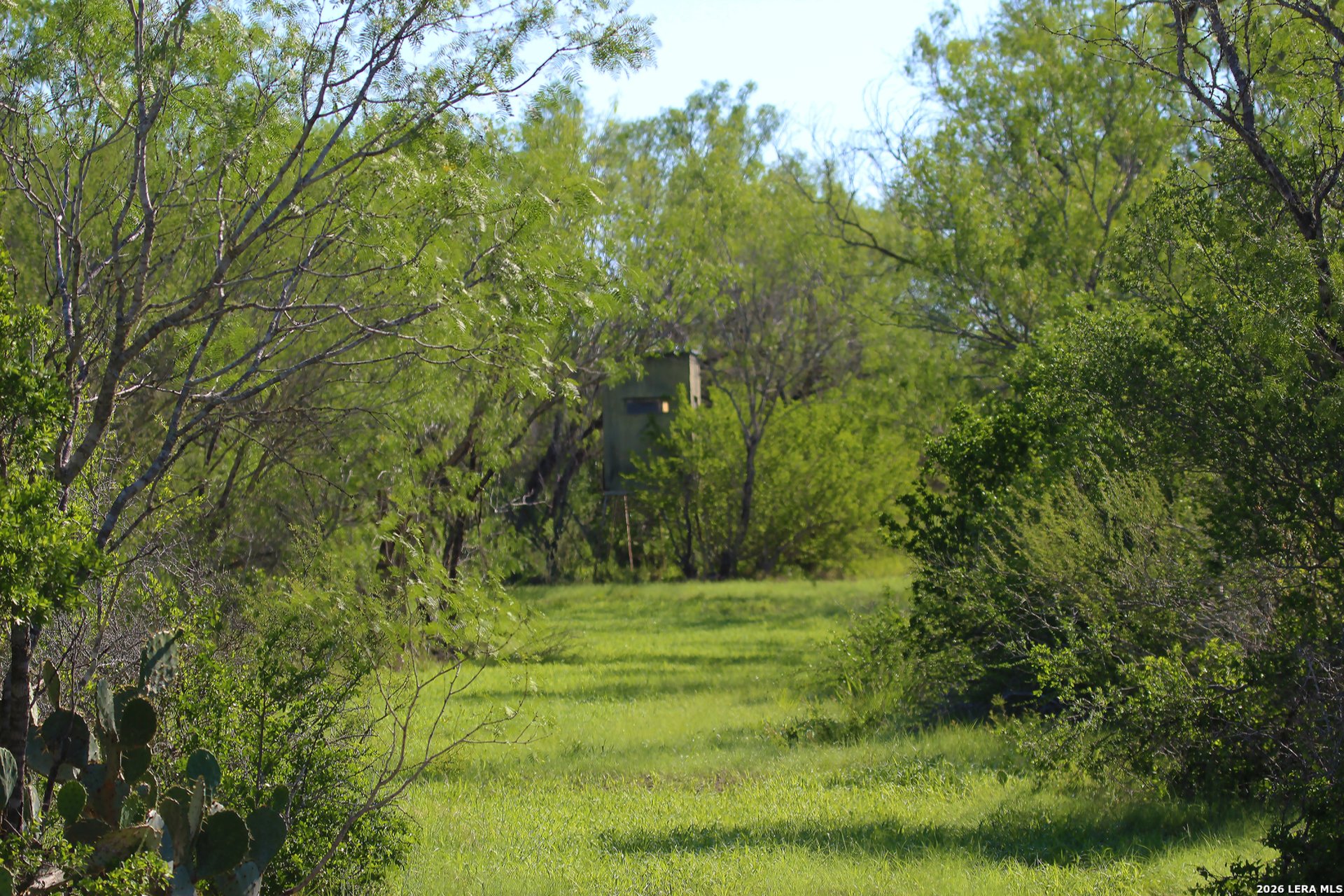 2349 CR 416, FALLS_CITY, TX, 78113