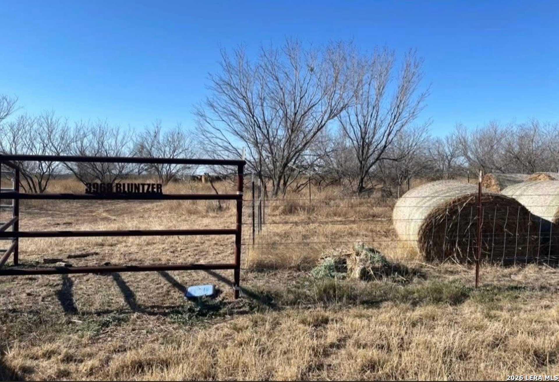 3968 Bluntzer Rd, JOURDANTON, TX, 78026
