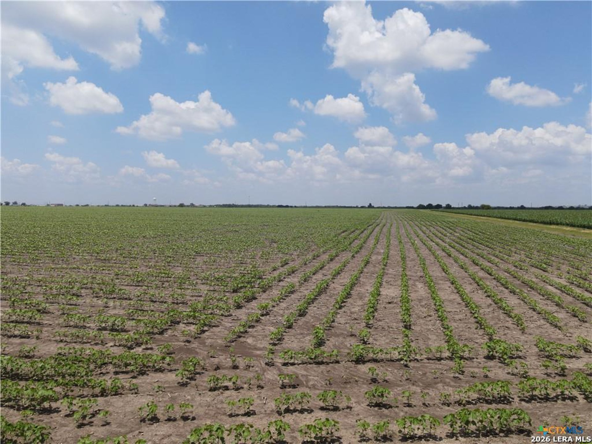 TBD Willmann, SEGUIN, TX, 78155