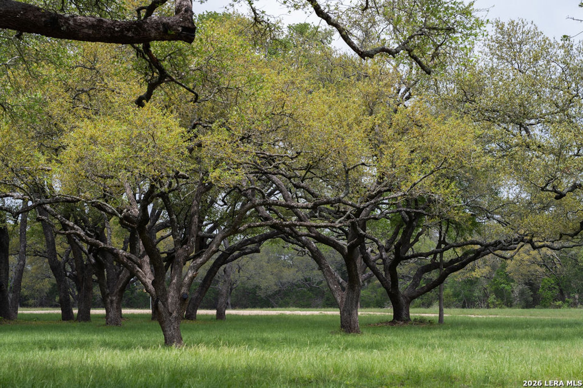 426 MILL RUN, NEWBRAUNFE, TX, 78132