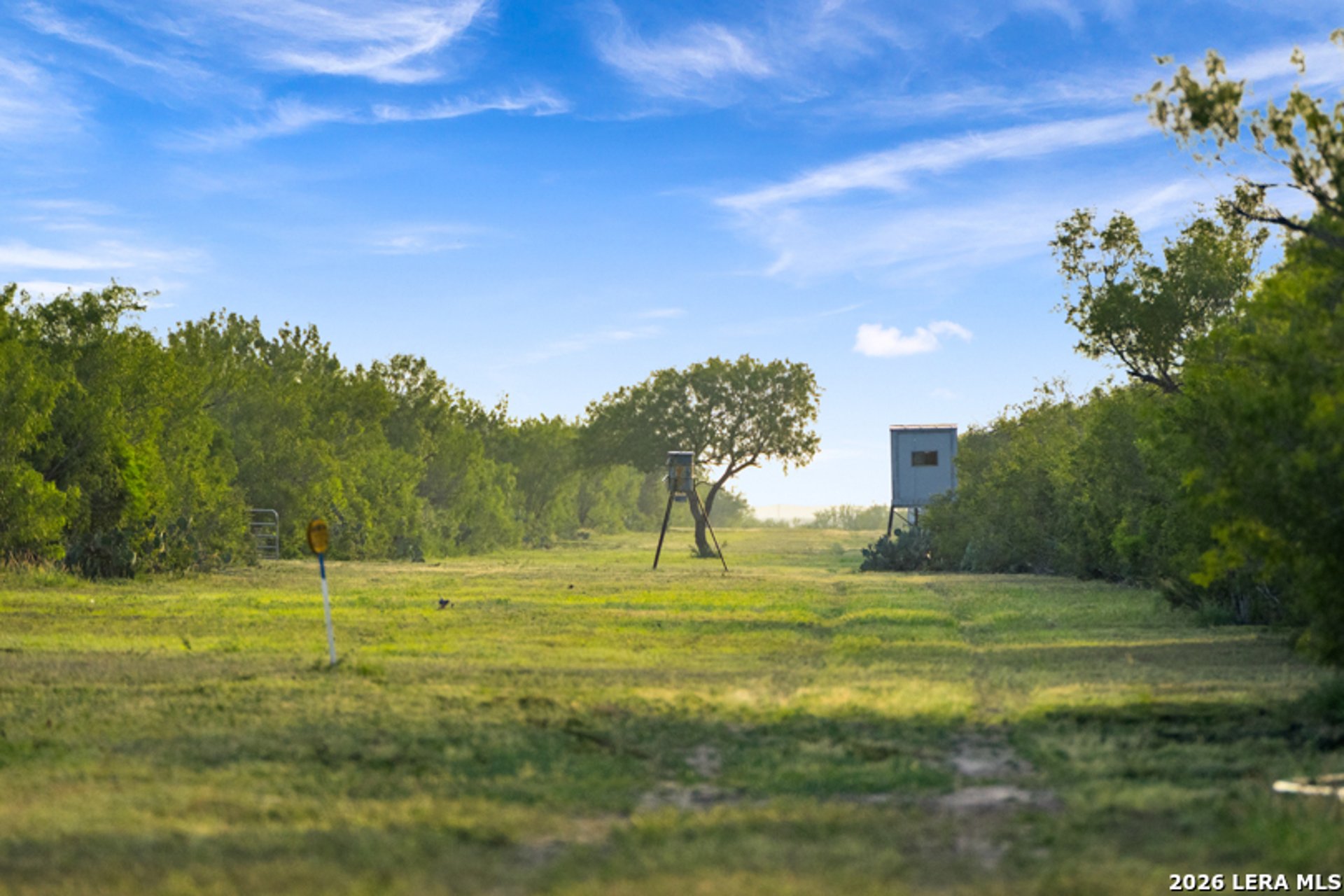 TBD CR 401, FREER, TX, 78357