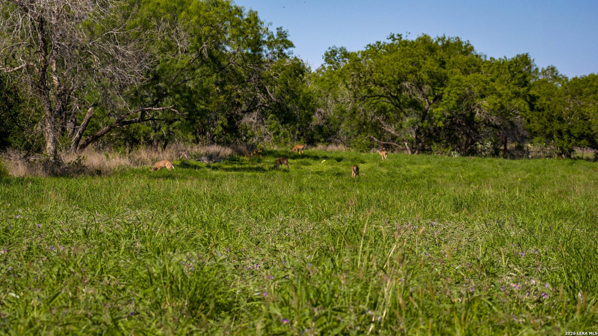 18000 FM 791, CAMBELLTON, TX, 78008