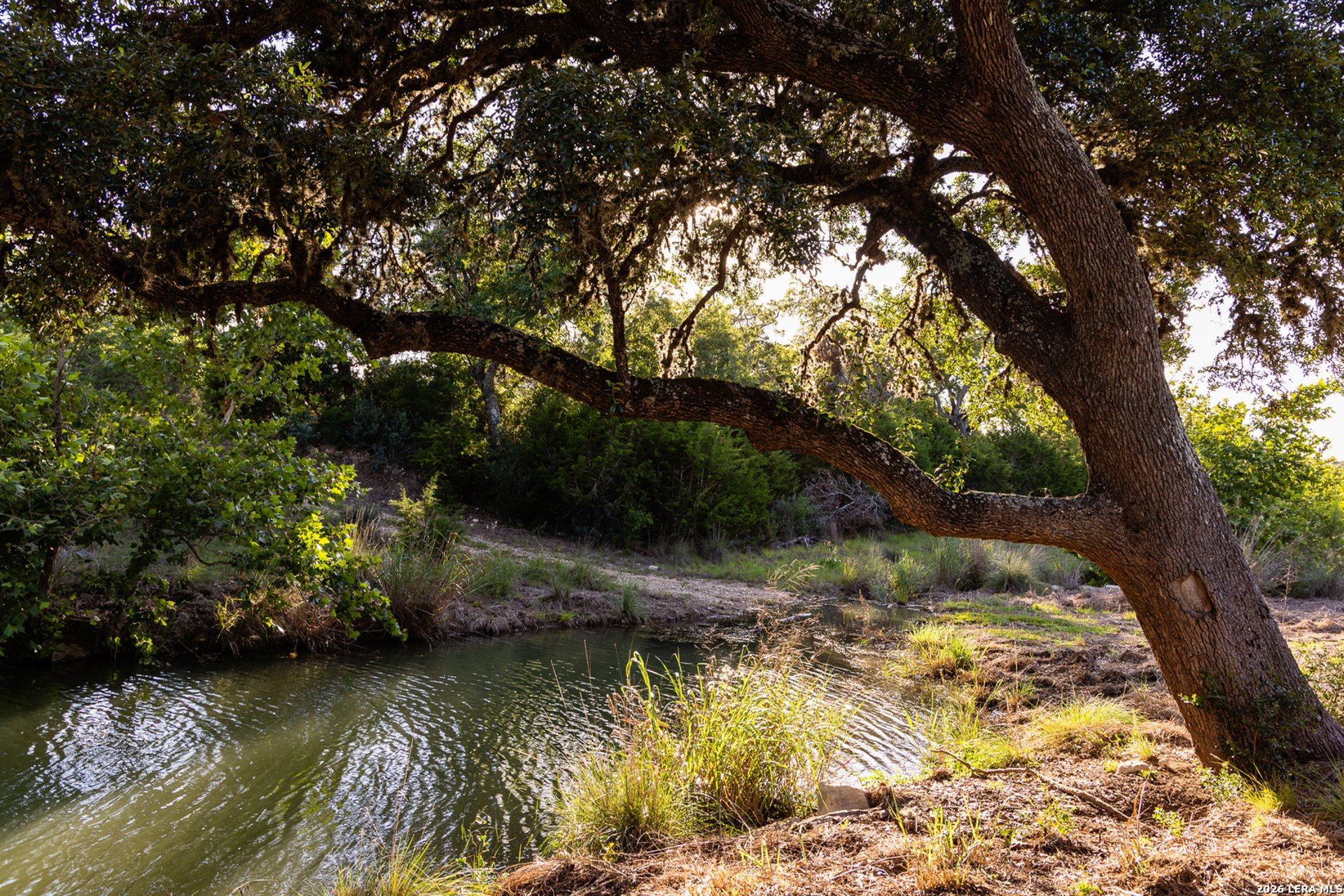 161 Flach Ranch Rd, COMFORT, TX, 78013