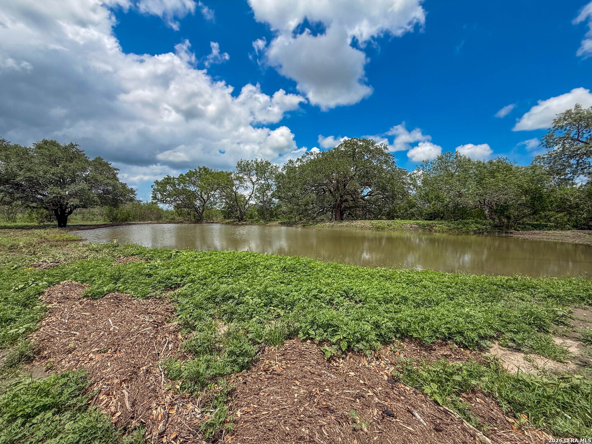 11919 County Road 127, KENEDY, TX, 78119