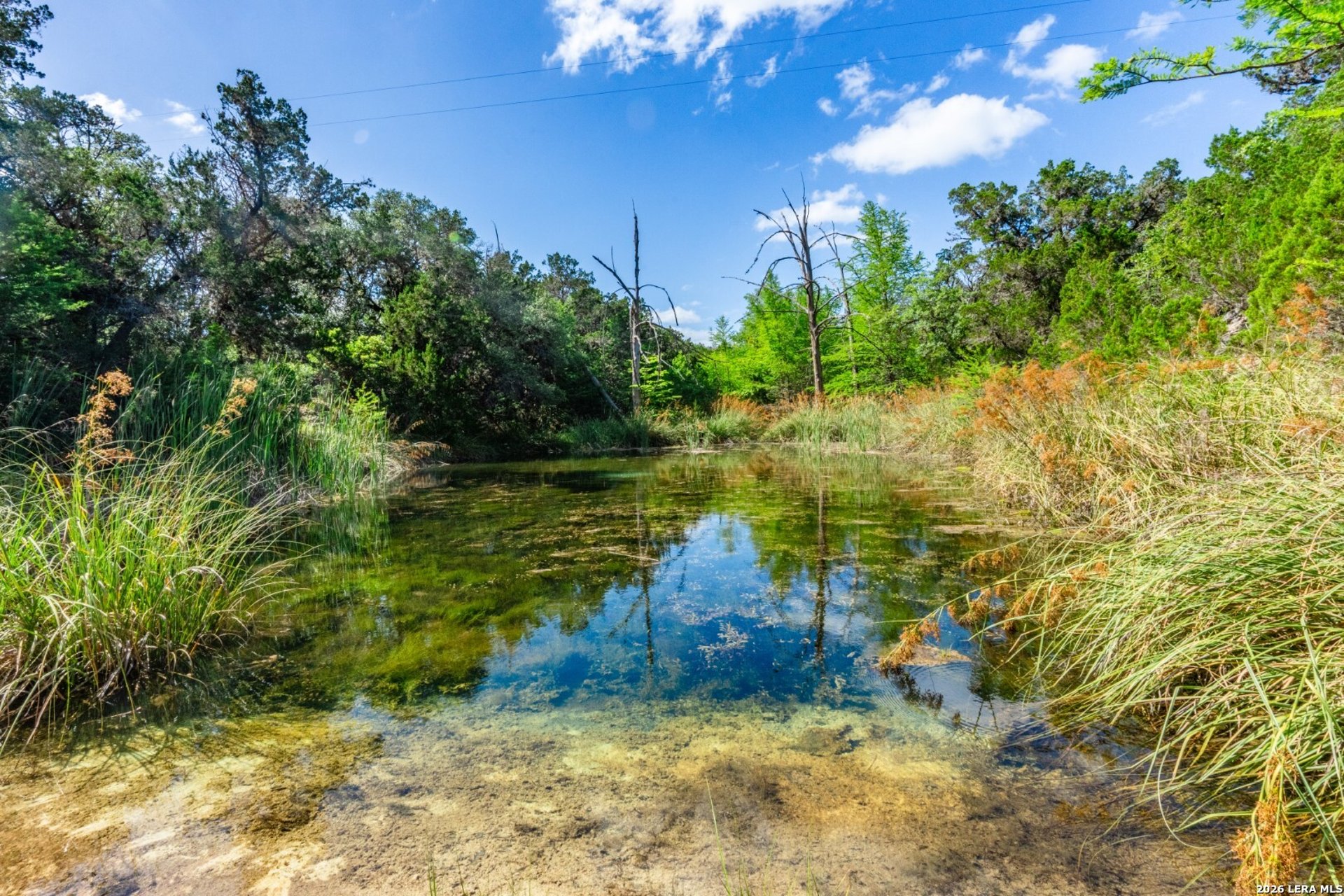 650 Evans Creek Road, VANDERPOOL, TX, 78885