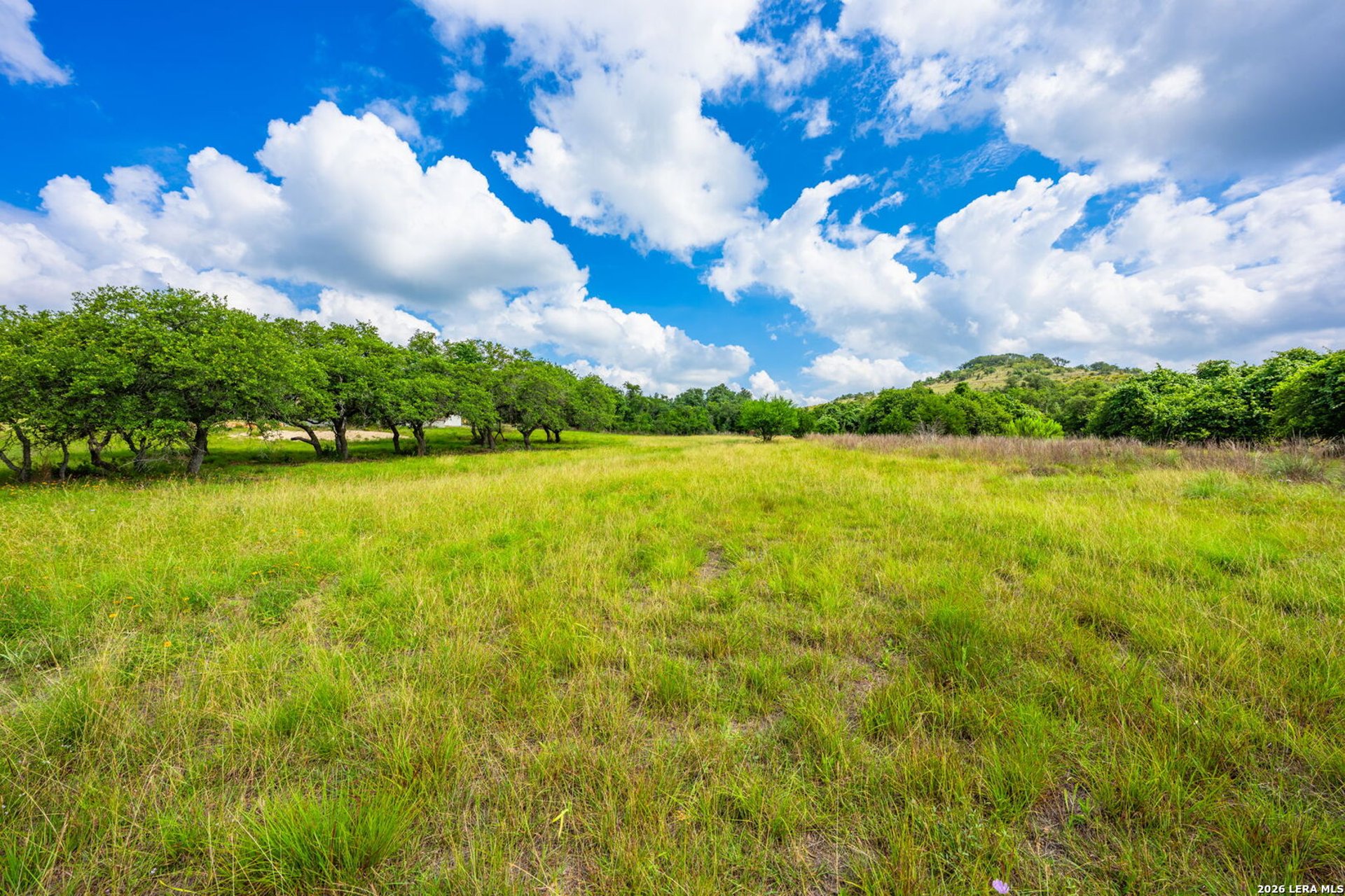 147 Gray Wolf, BLANCO, TX, 78606