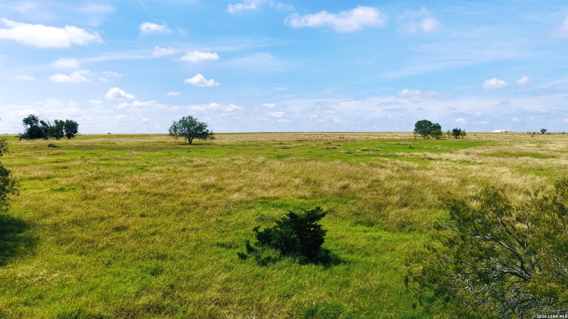 1162 County Road 234B, HALLETSVIL, TX, 77964