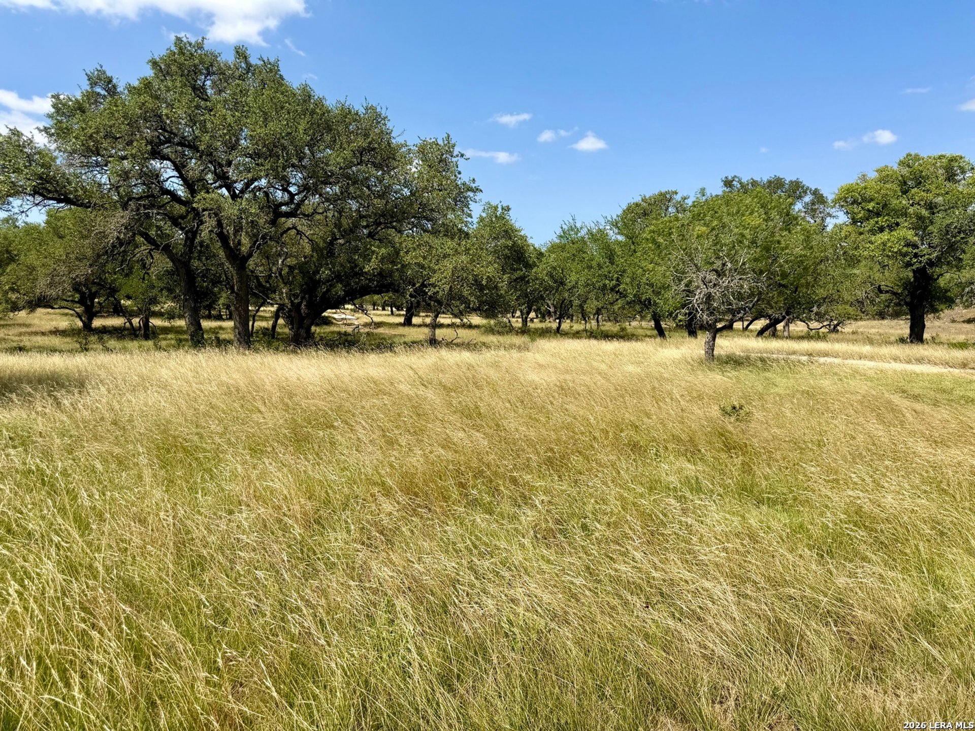43 ACRES Sattler Rd., SPRINGBRAN, TX, 78070