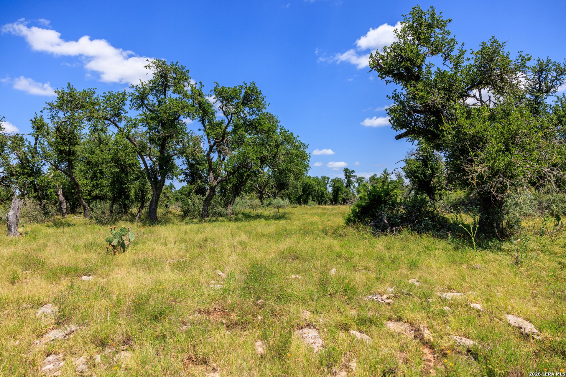 2656 Meier Road, FREDERICKS, TX, 78624