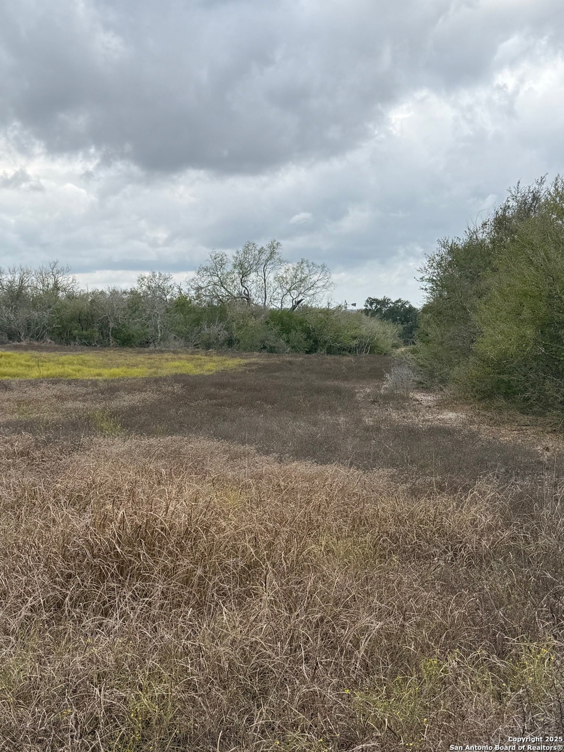 4689 County Road 302, RUNGE, TX, 78151