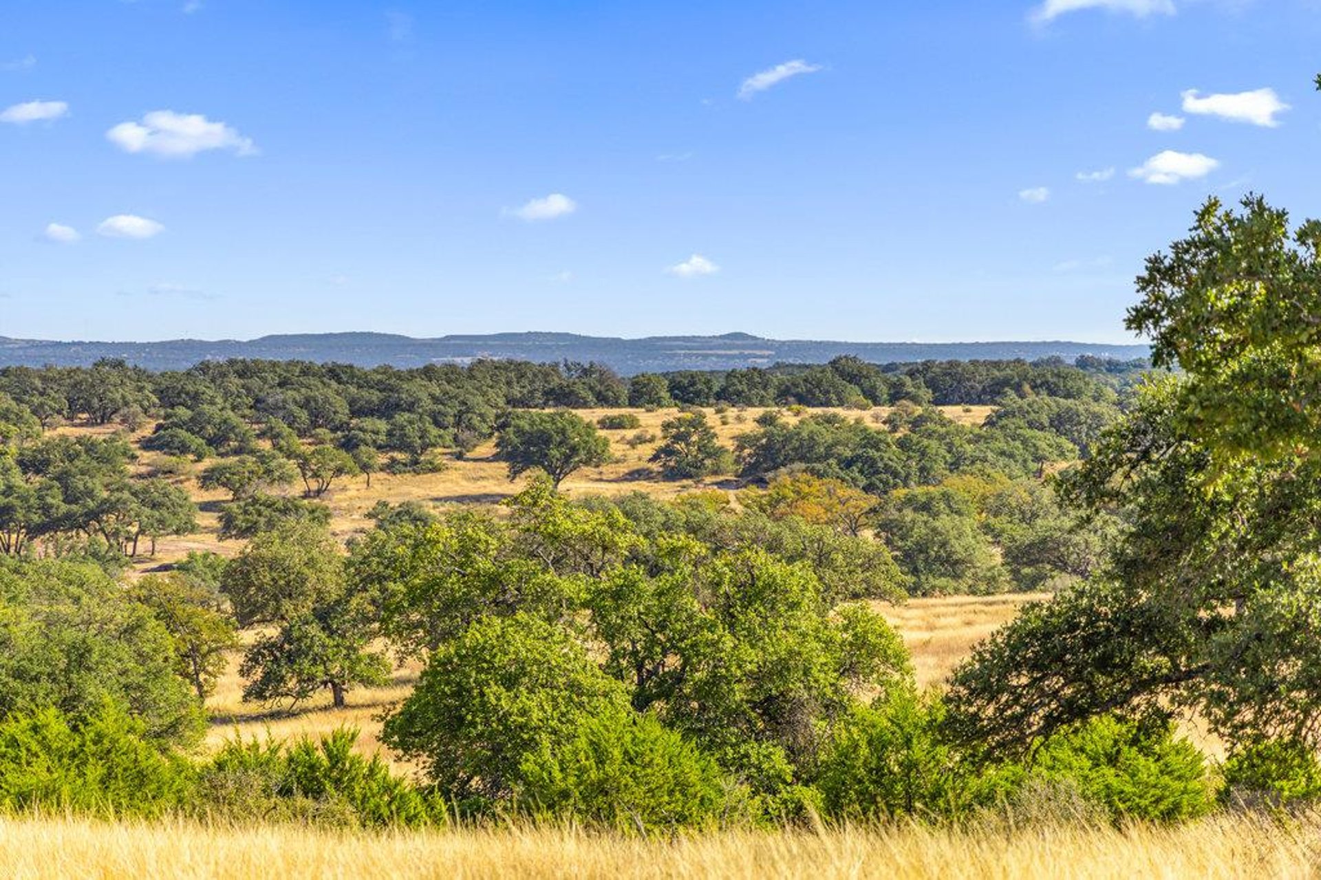 2482 Ranch Rd 2721