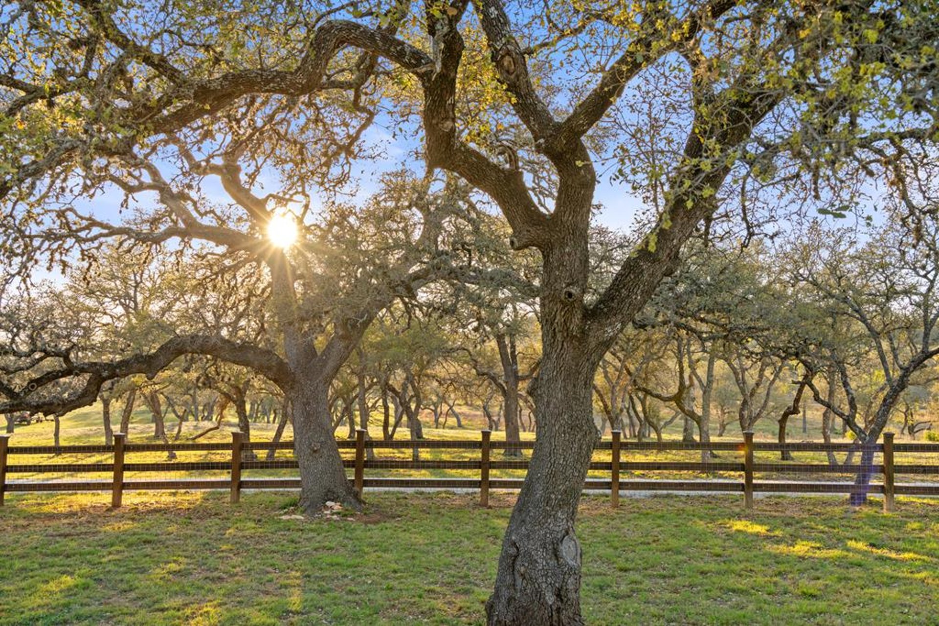 4827 Maenius Rd, Blanco, TX, 78606