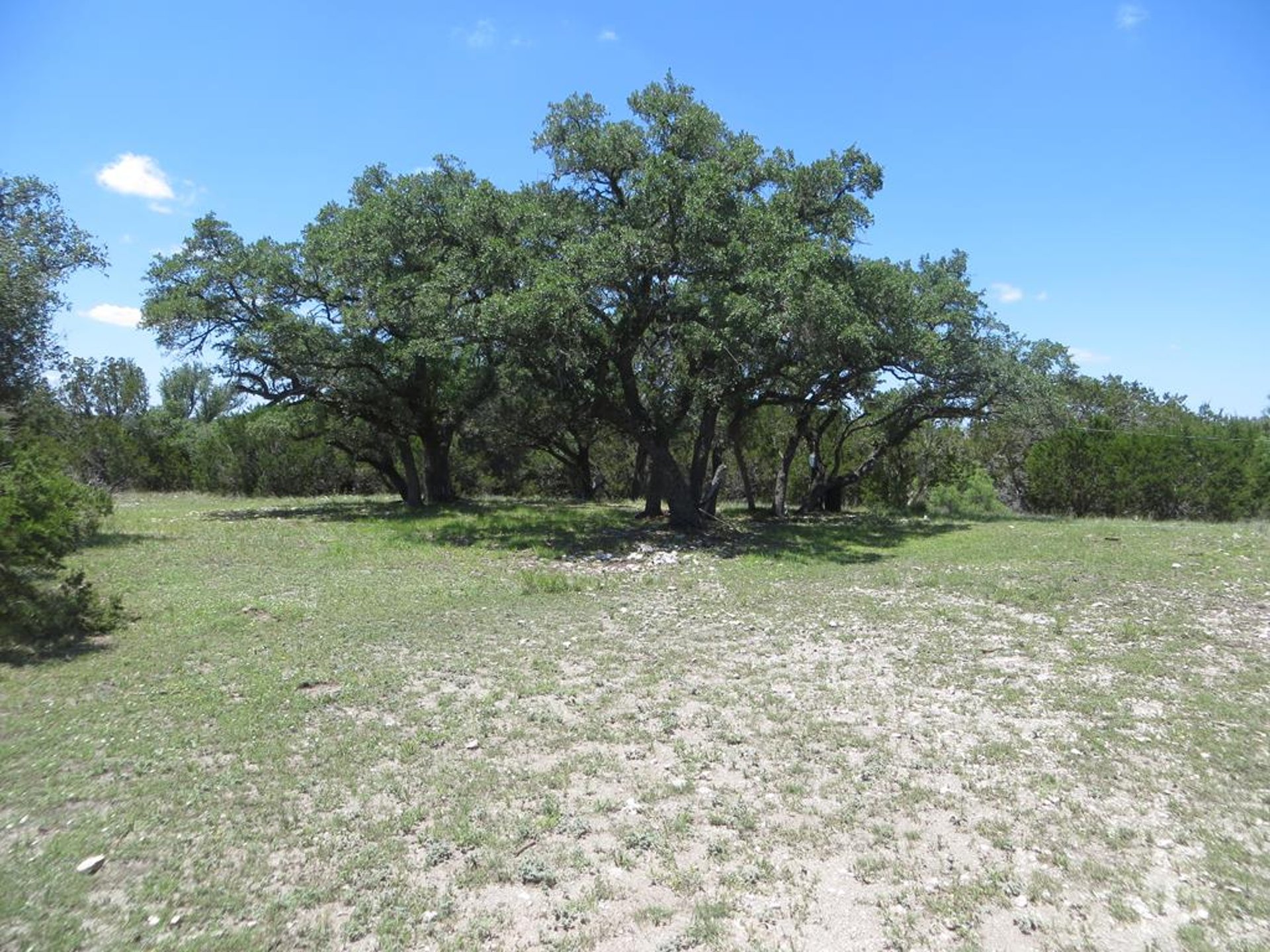 24 KC 24, Junction, TX, 76849