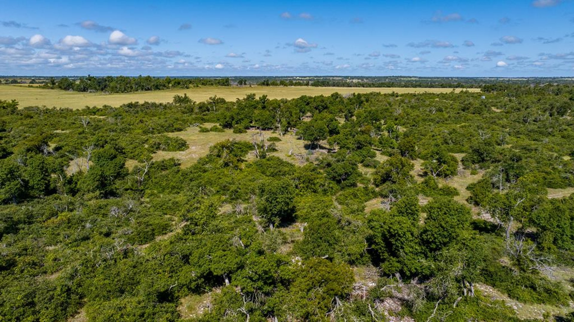 875 Gypsum Mine Rd, Fredericksburg, TX, 78624