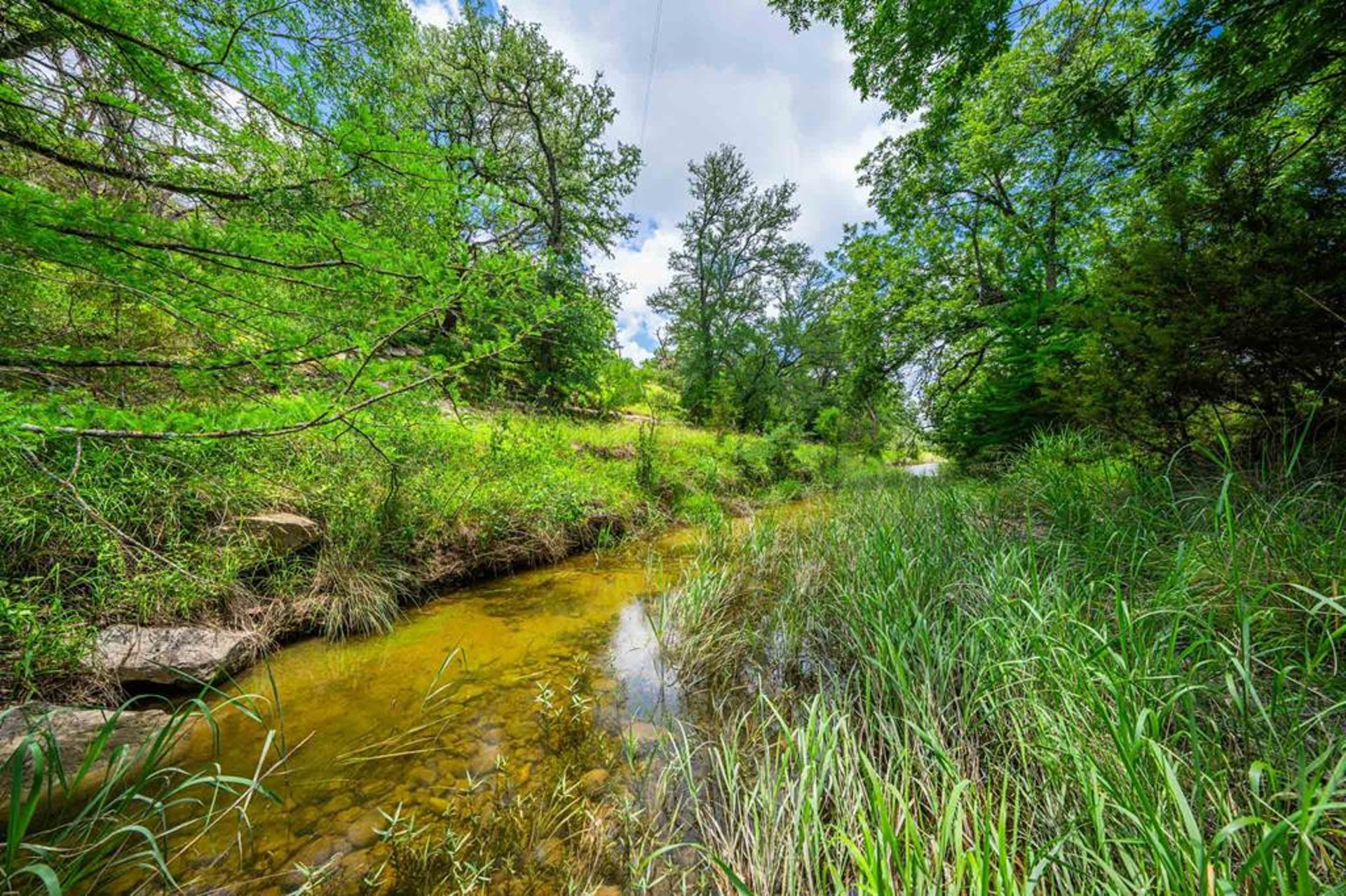 8 Cypress Creek Rd