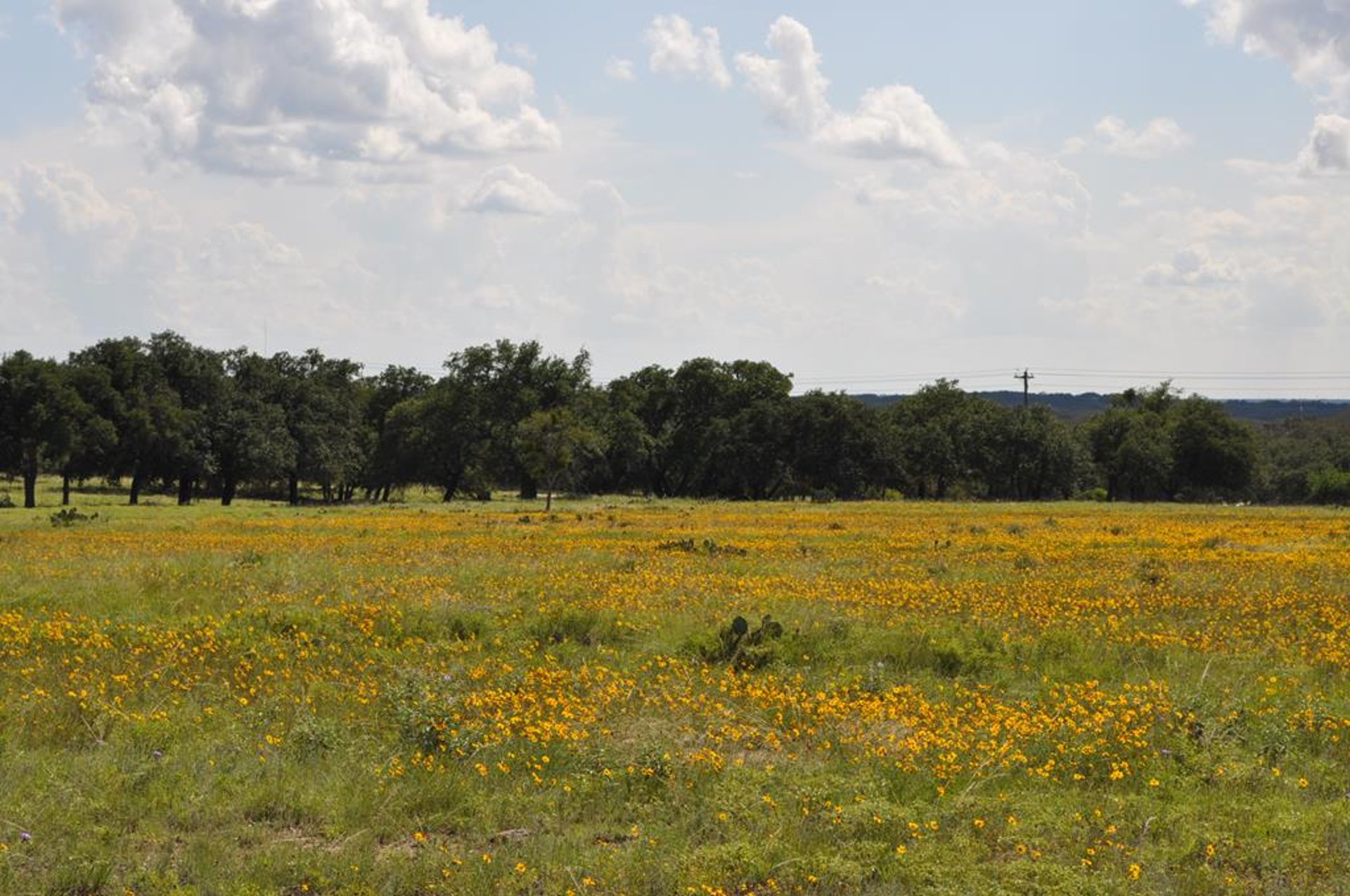 17987 FM 479, Harper, TX, 78631