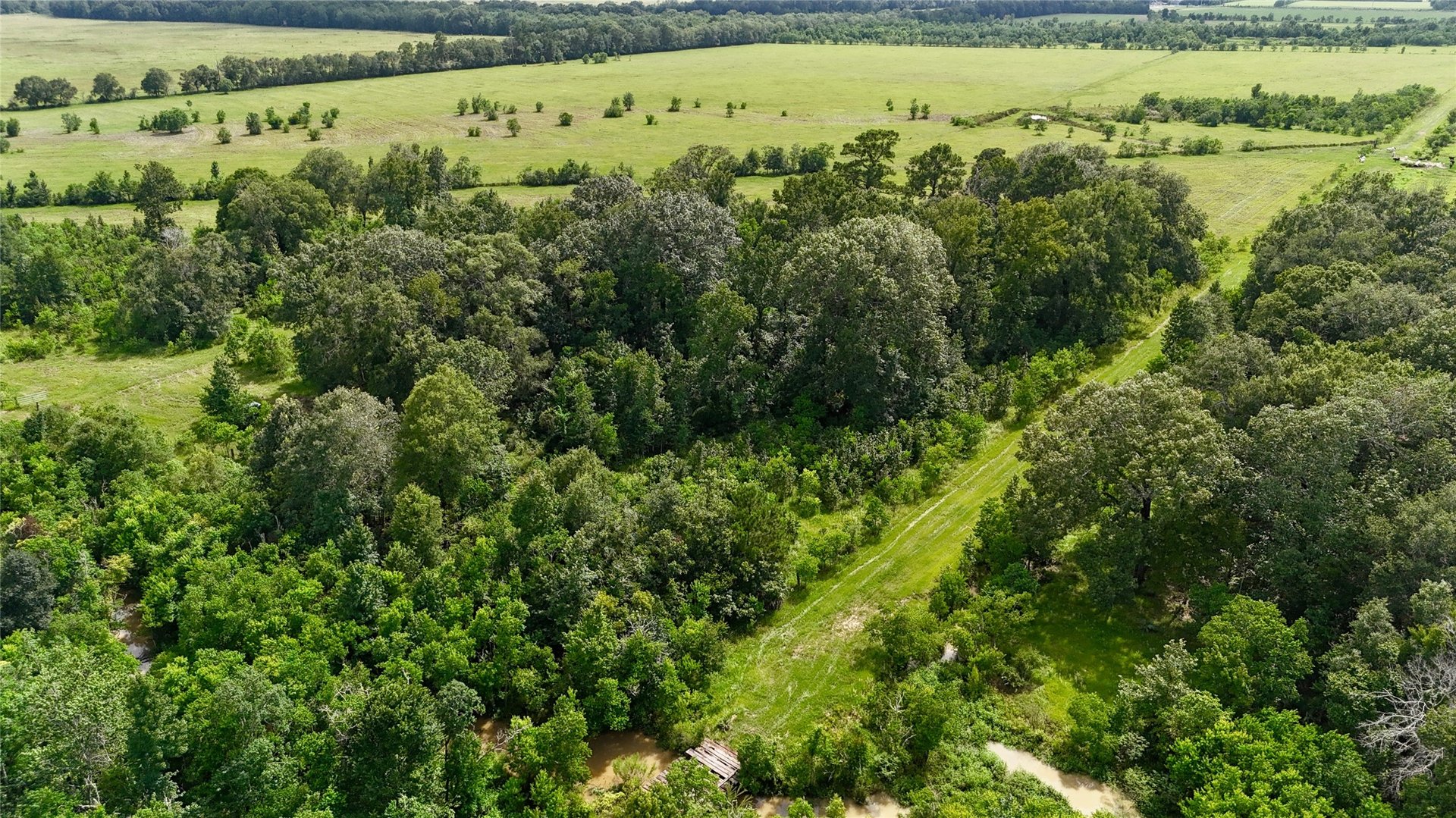 31100 Old Sour Lake, Sour Lake, TX, 77659