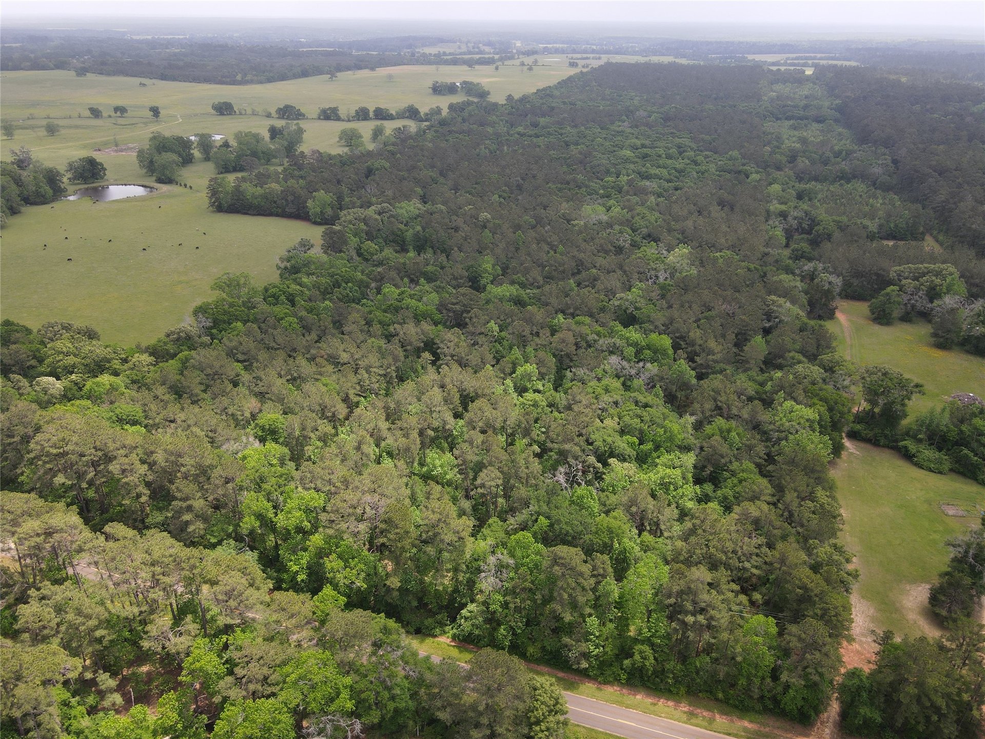 TBD FM 2110, Crockett, TX, 75835