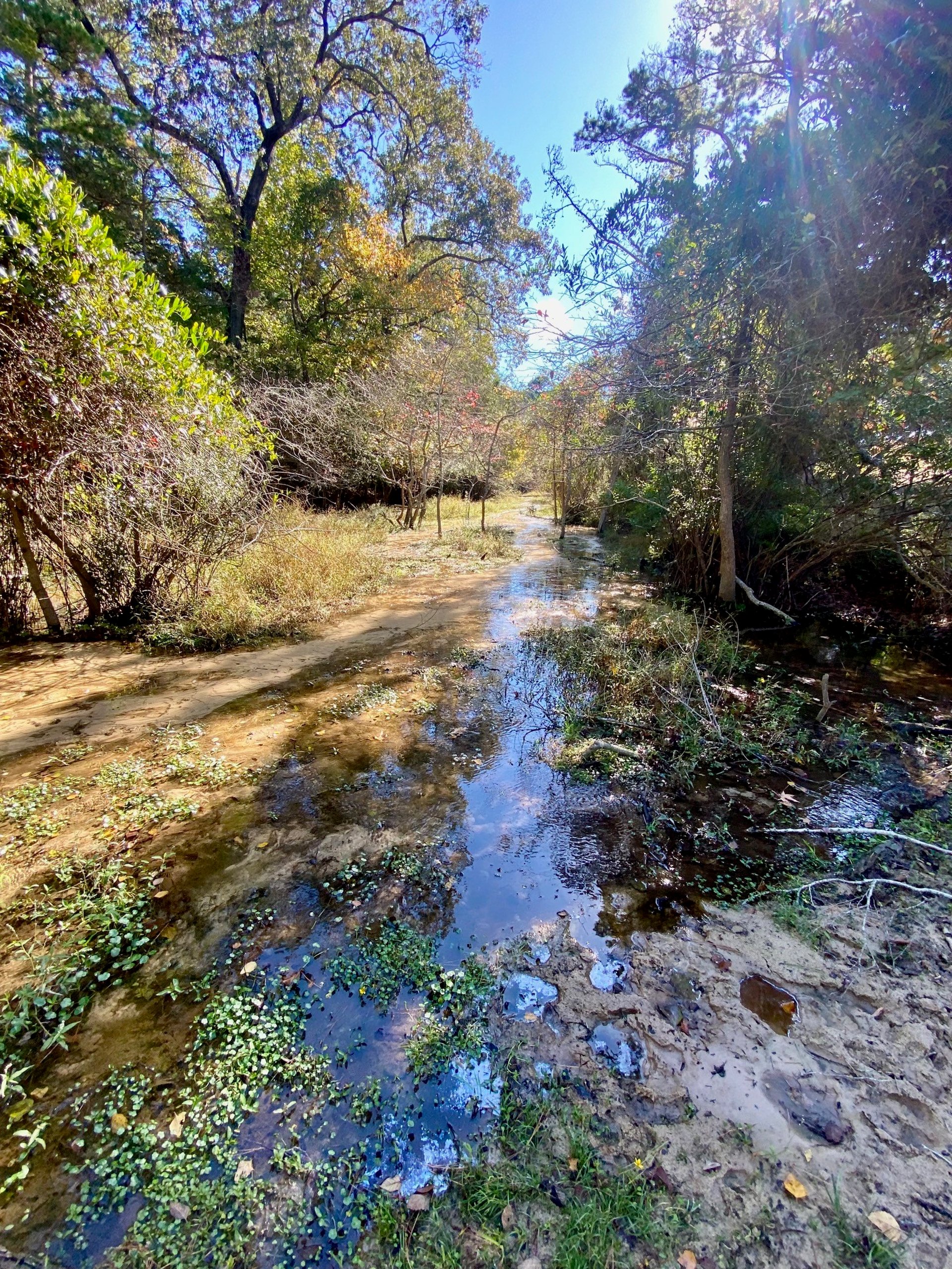 485 Private Road 6142, Grapeland, TX, 75844