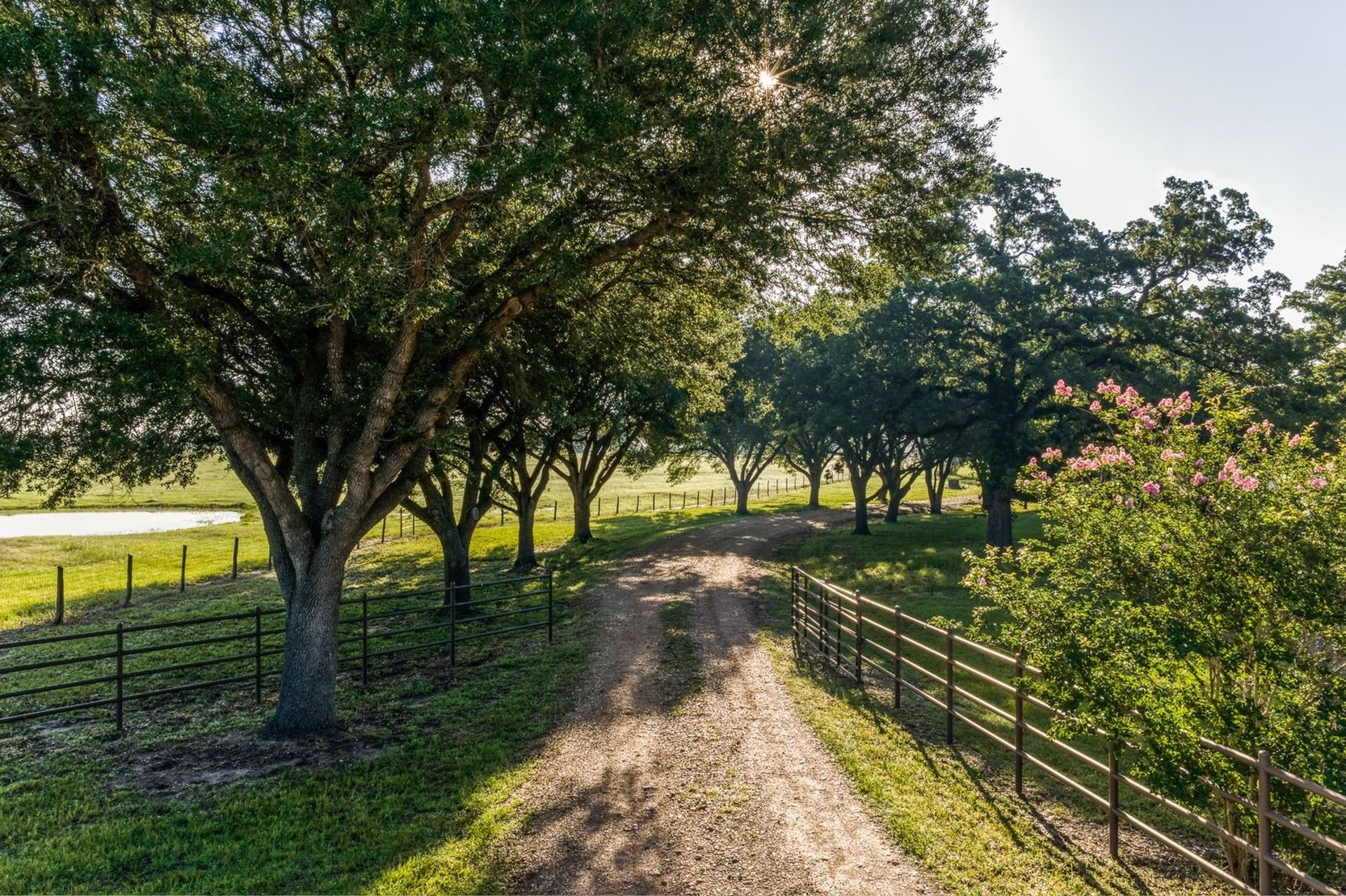 20755 Holle Lane, Washington, TX, 77880