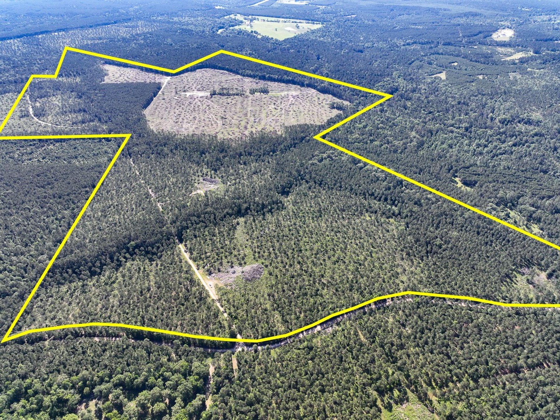 T-8 Fountain Creek Road, Groveton, TX, 75845