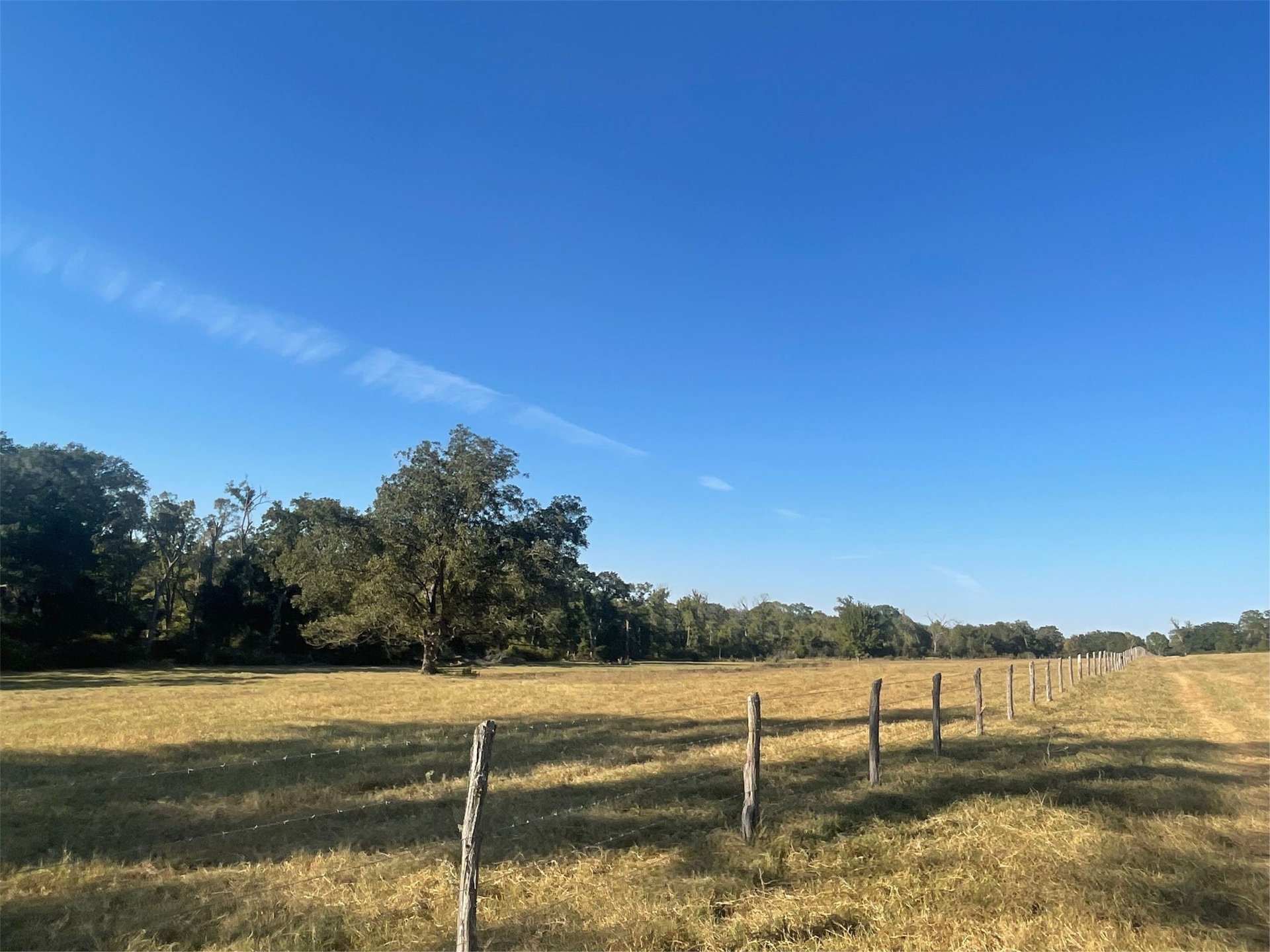 6014 CR 333, Caldwell, TX, 77836