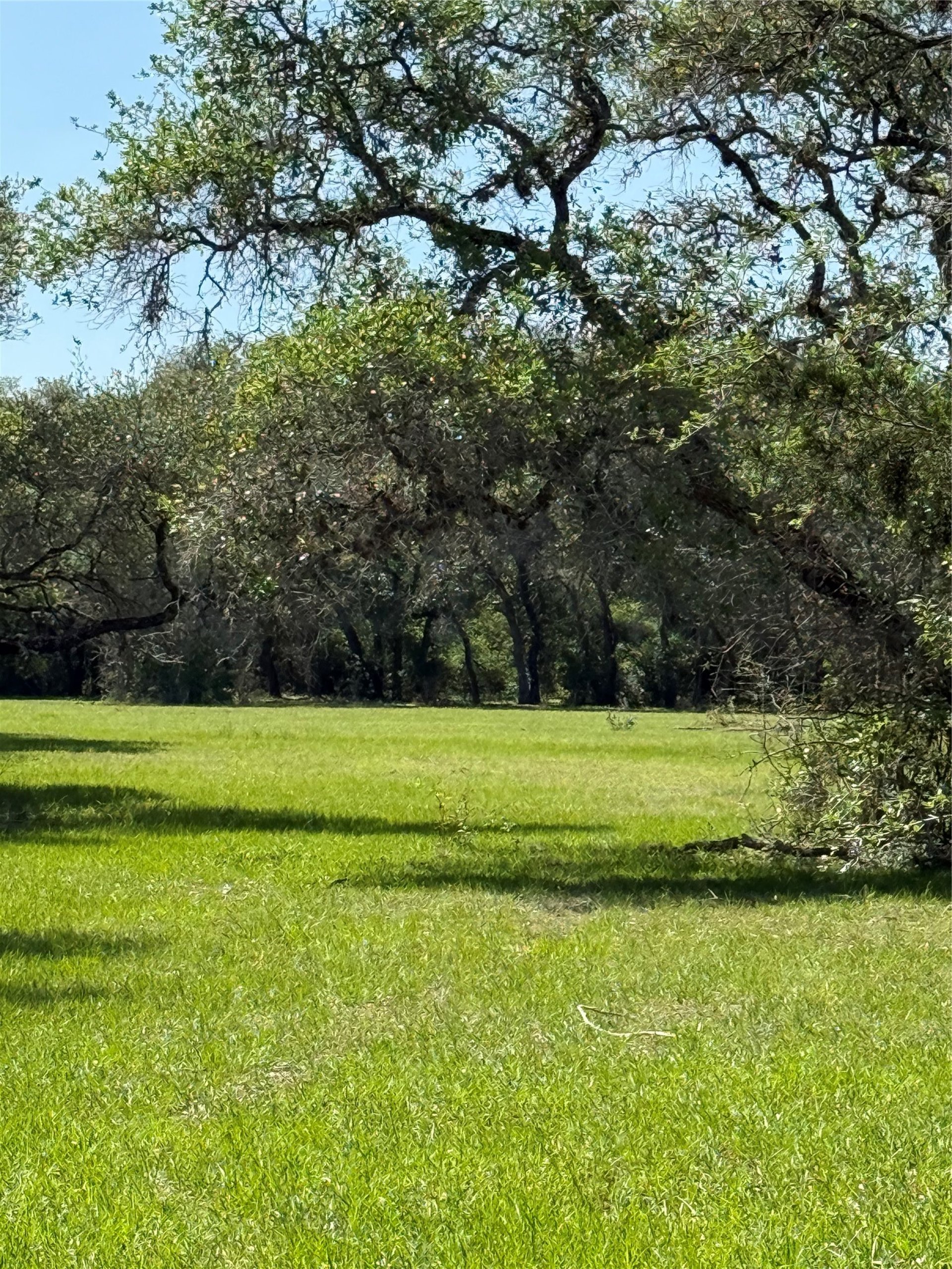 1222 CR 2152, Rock Island, TX, 77470
