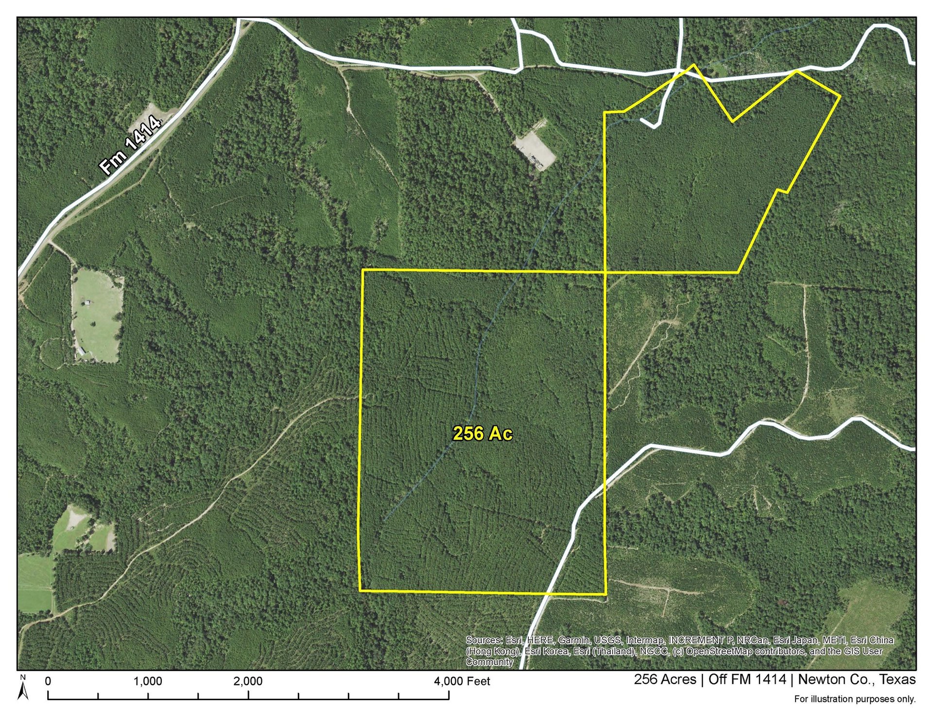2 Off FM 1414, Burkeville, TX, 75966