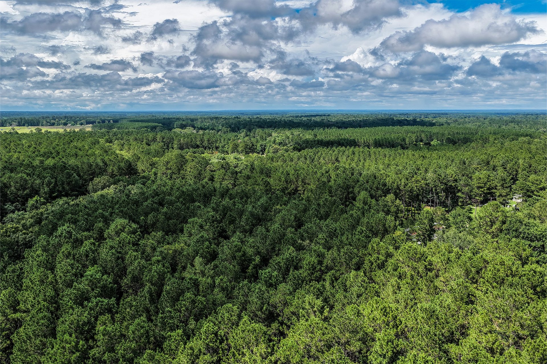 1782 Acres County Line Road, Shepherd, TX, 77371